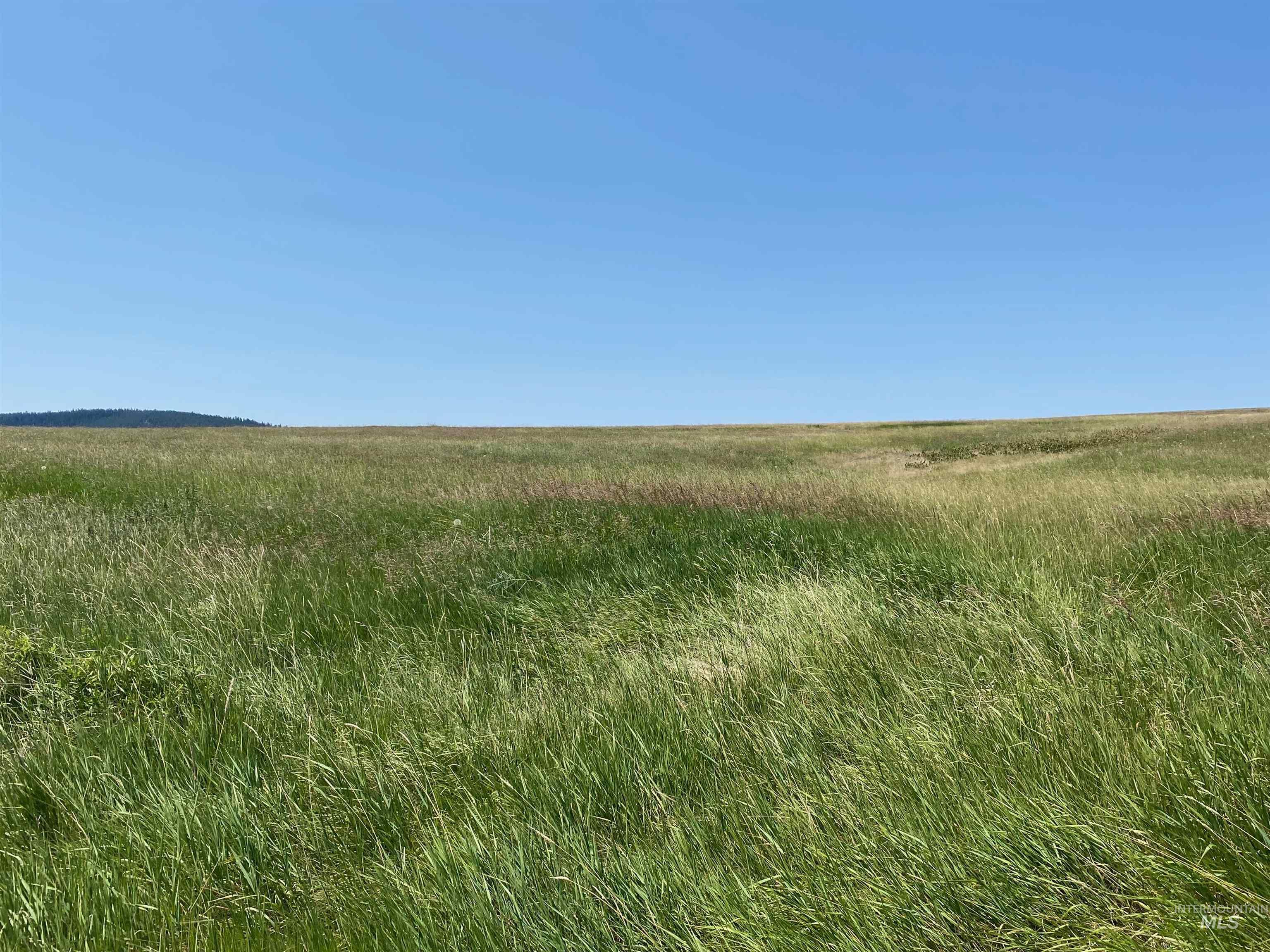 NNA Cloverland Road, Asotin, Washington 99402, Land For Sale, Price $2,400,000,MLS 98883206