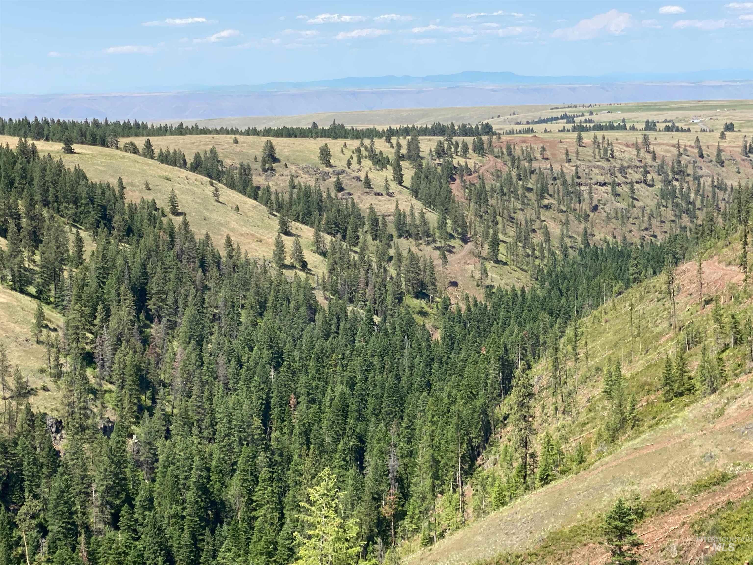 NNA Cloverland Road, Asotin, Washington 99402, Land For Sale, Price $2,400,000,MLS 98883206