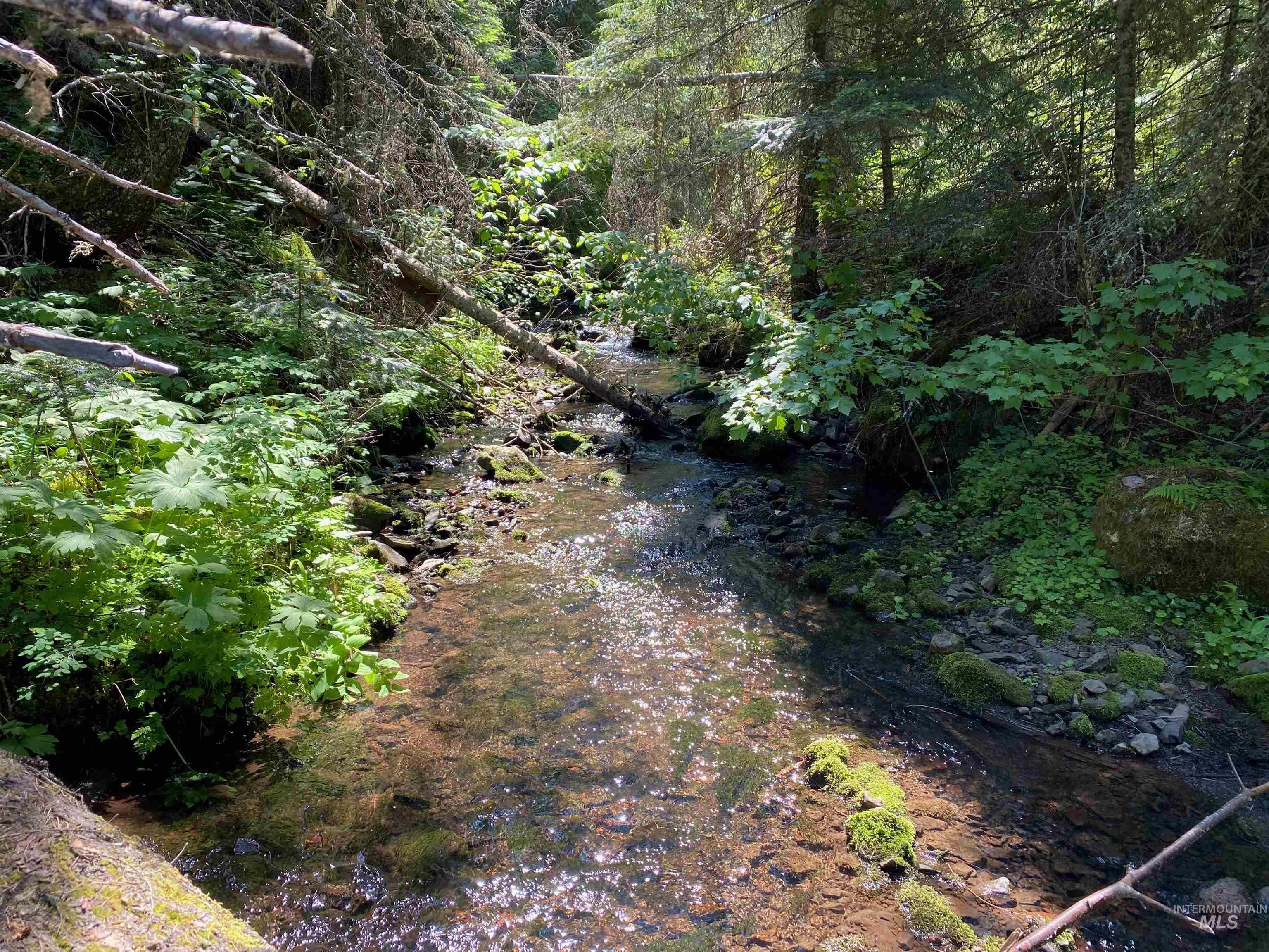 NNA Cloverland Road, Asotin, Washington 99402, Land For Sale, Price $2,400,000,MLS 98883206