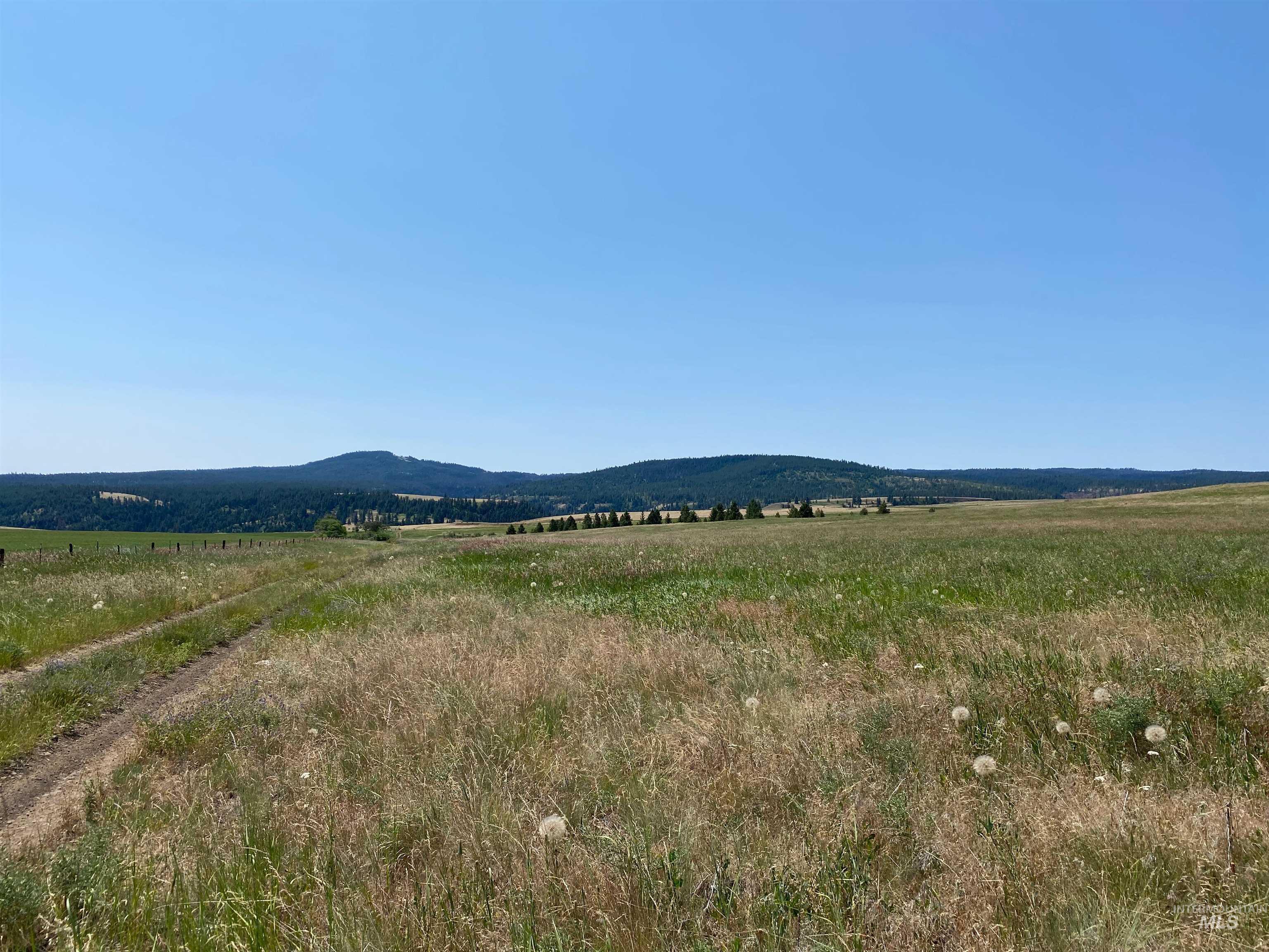 NNA Cloverland Road, Asotin, Washington 99402, Land For Sale, Price $2,400,000,MLS 98883206