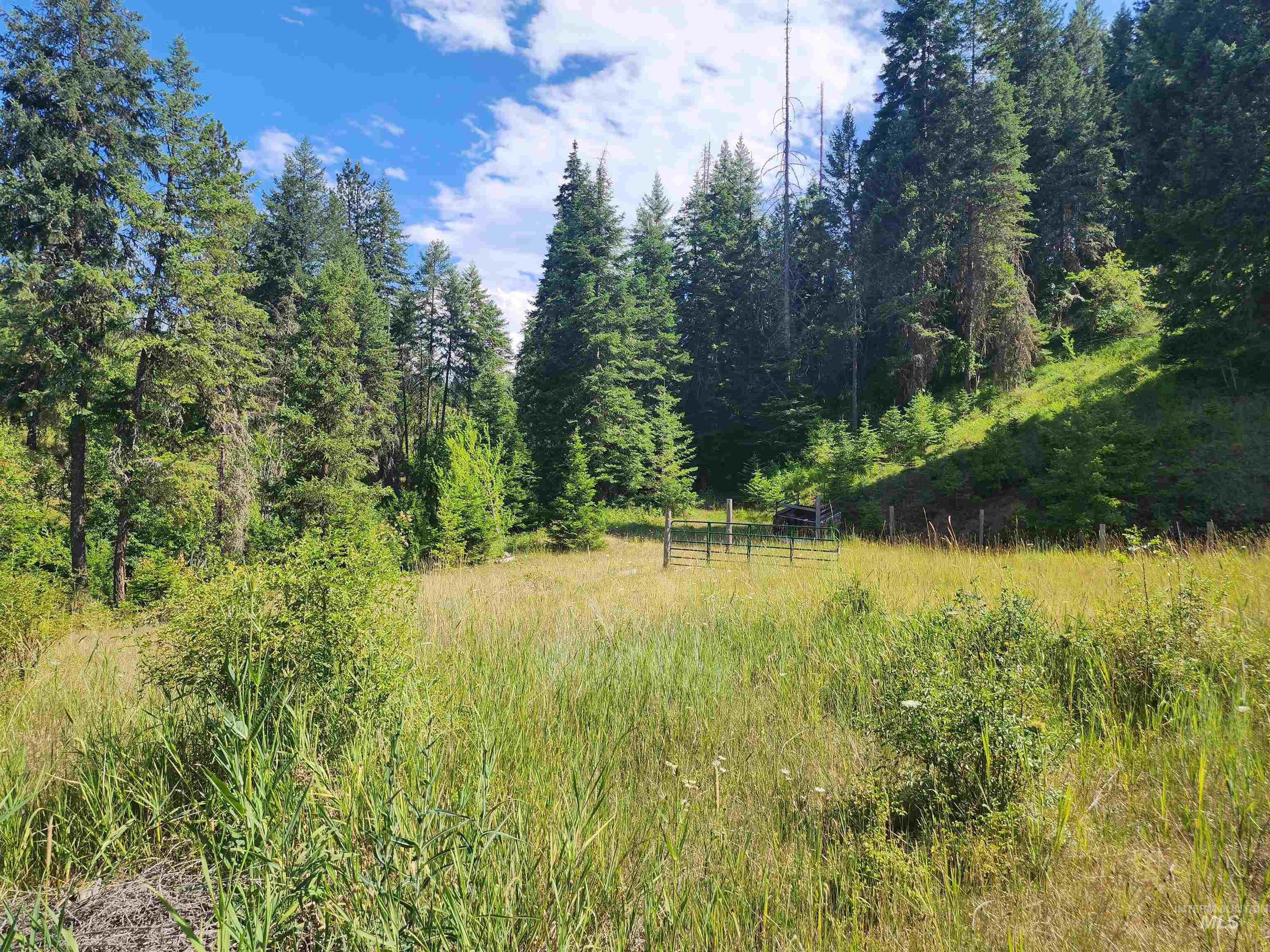 126 Shira Road, Clearwater, Idaho 83552, 3 Bedrooms, 2 Bathrooms, Residential For Sale, Price $499,000, 98884141