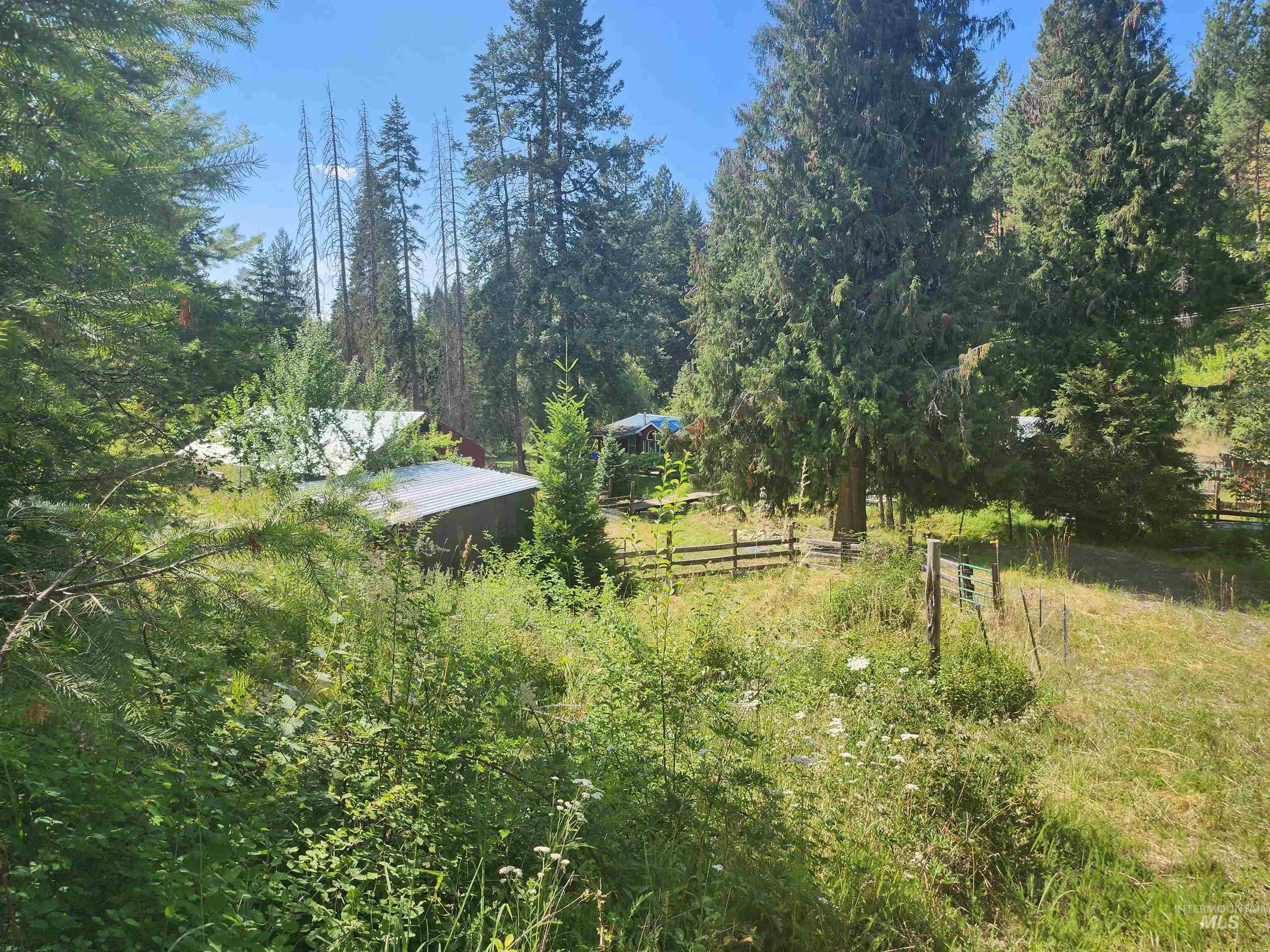 126 Shira Road, Clearwater, Idaho 83552, 3 Bedrooms, 2 Bathrooms, Residential For Sale, Price $499,000, 98884141