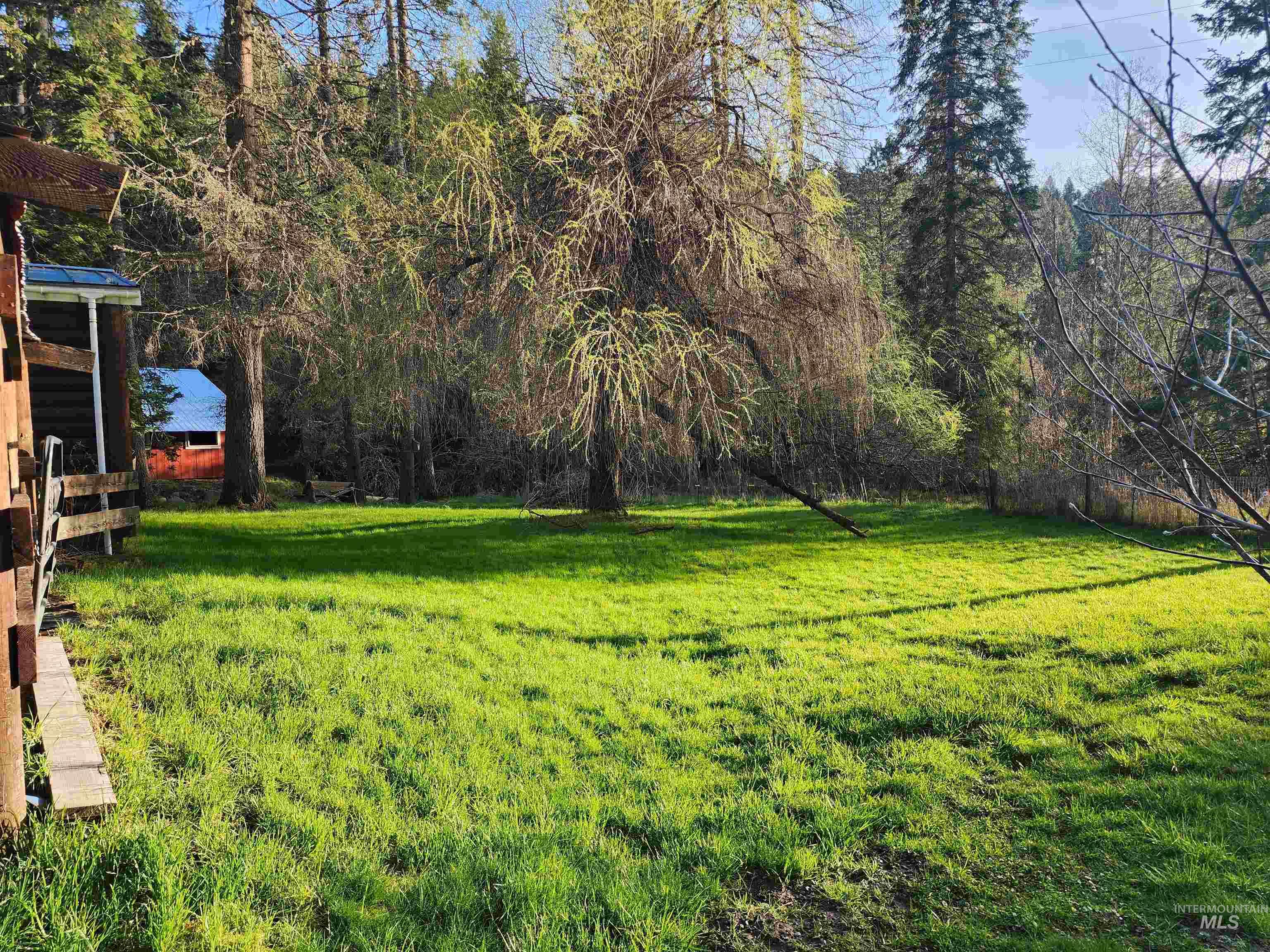 126 Shira Road, Clearwater, Idaho 83552, 3 Bedrooms, 2 Bathrooms, Residential For Sale, Price $499,000, 98884141