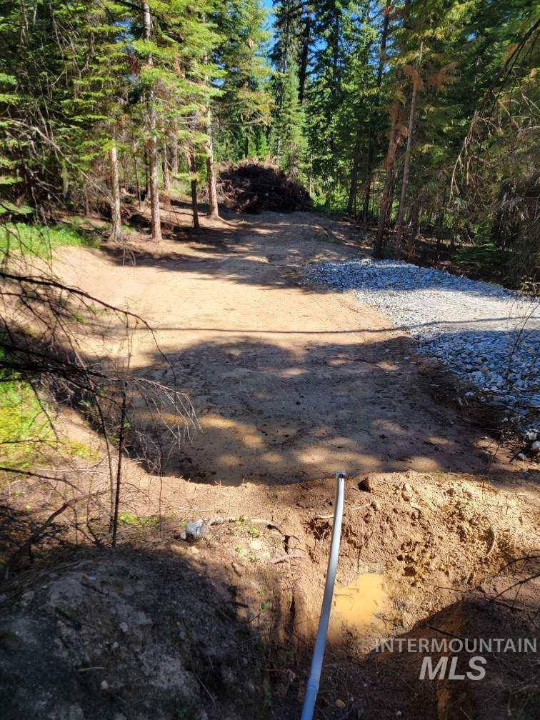 1900 Sweeney Hill Rd, Elk City, Idaho 83525, Land For Sale, Price $130,000,MLS 98884641