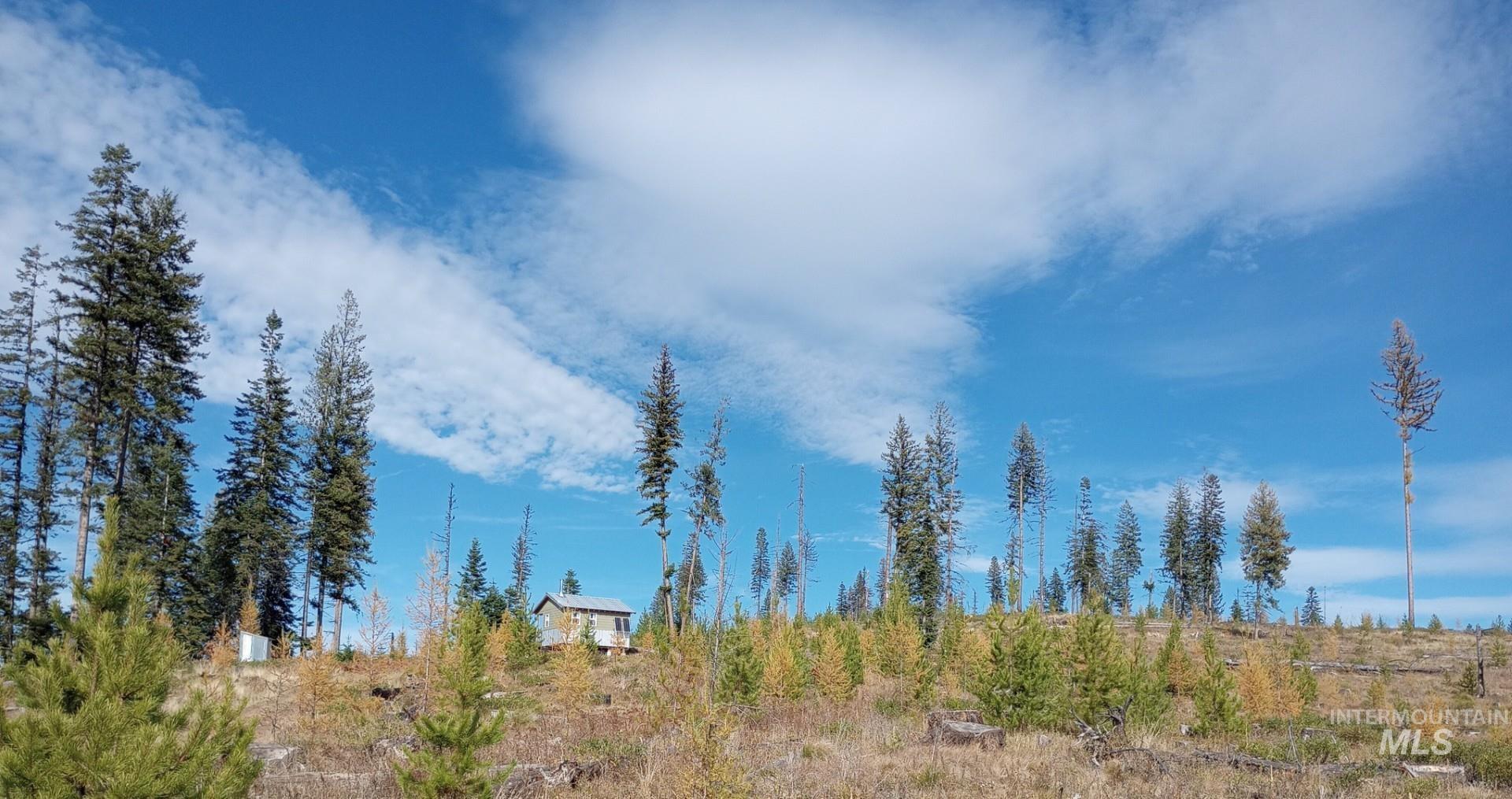 TBD French Gulch Rd Parcel #2, Elk City, Idaho 83525, Residential For Sale, Price $229,000,MLS 98885127