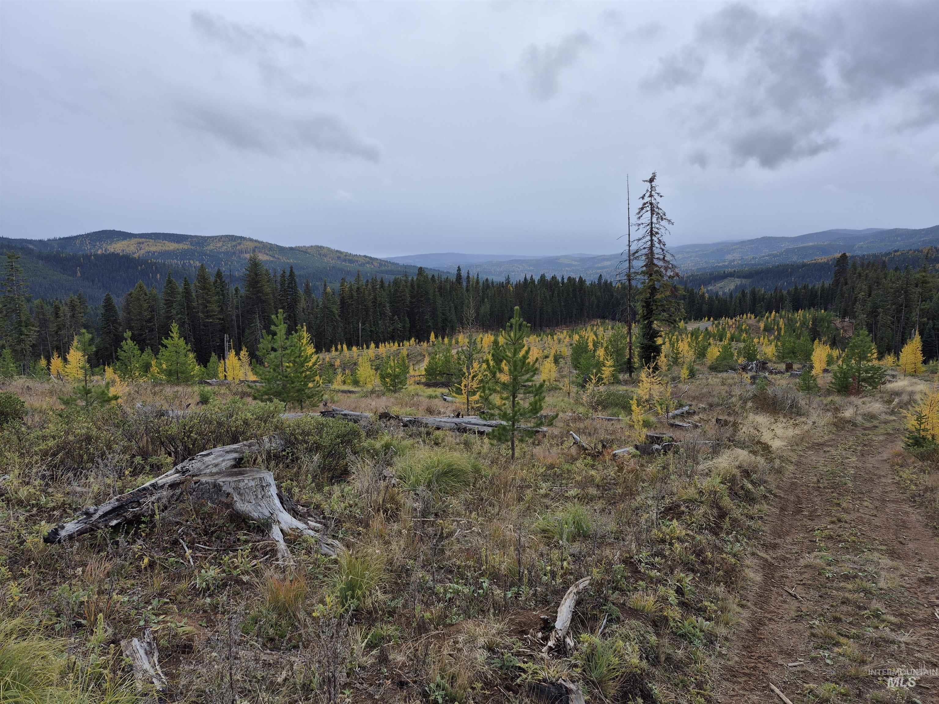 TBD French Gulch Rd Parcel #2, Elk City, Idaho 83525, Residential For Sale, Price $229,000,MLS 98885127