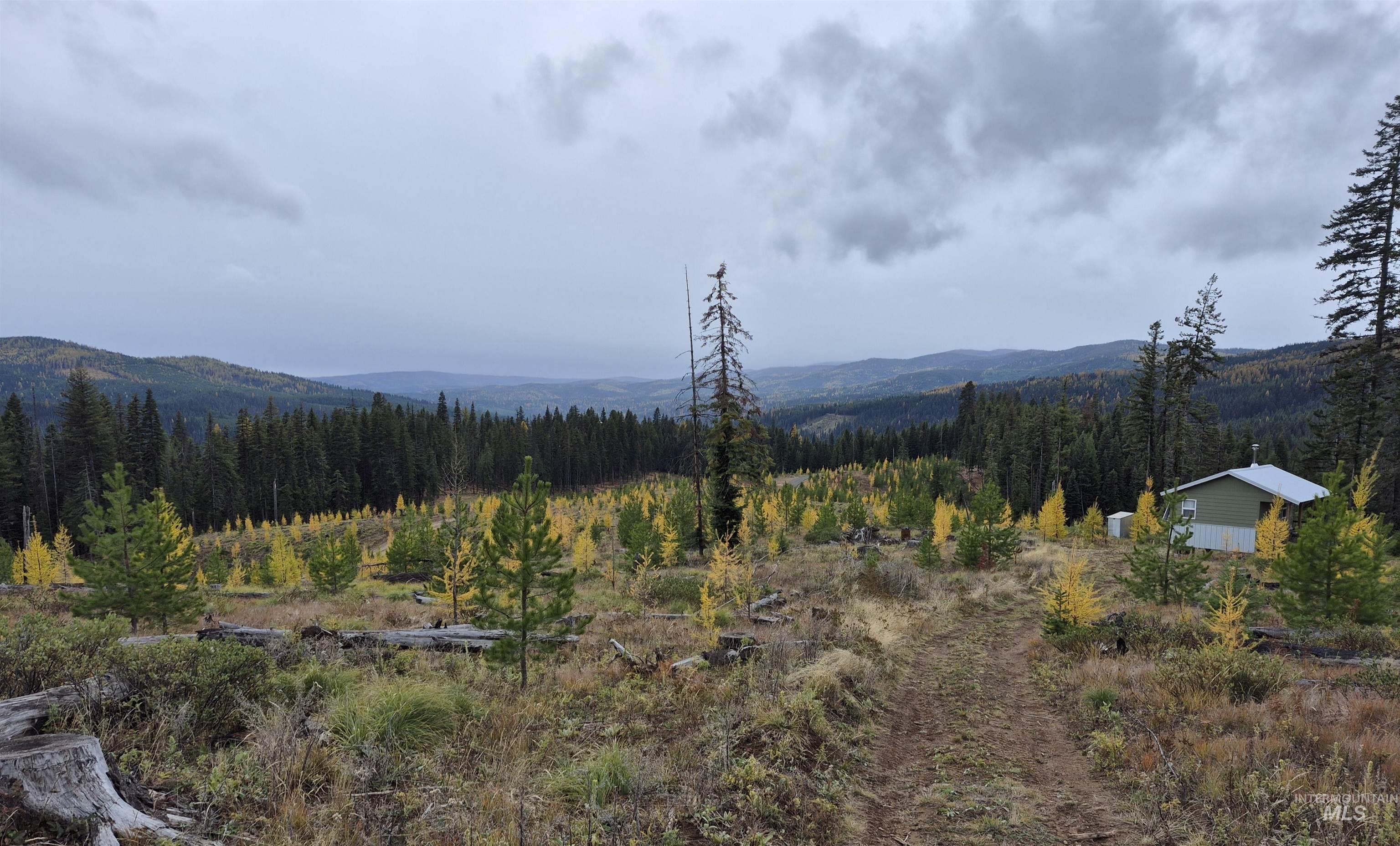 TBD French Gulch Rd Parcel #2, Elk City, Idaho 83525, Residential For Sale, Price $229,000,MLS 98885127