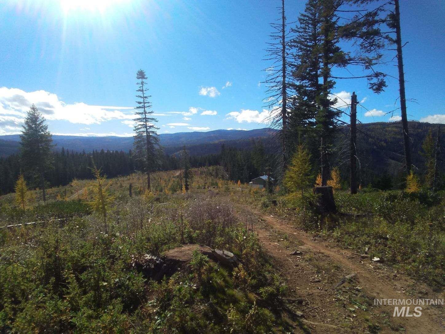 TBD French Gulch Rd Parcel #2, Elk City, Idaho 83525, Residential For Sale, Price $229,000,MLS 98885127