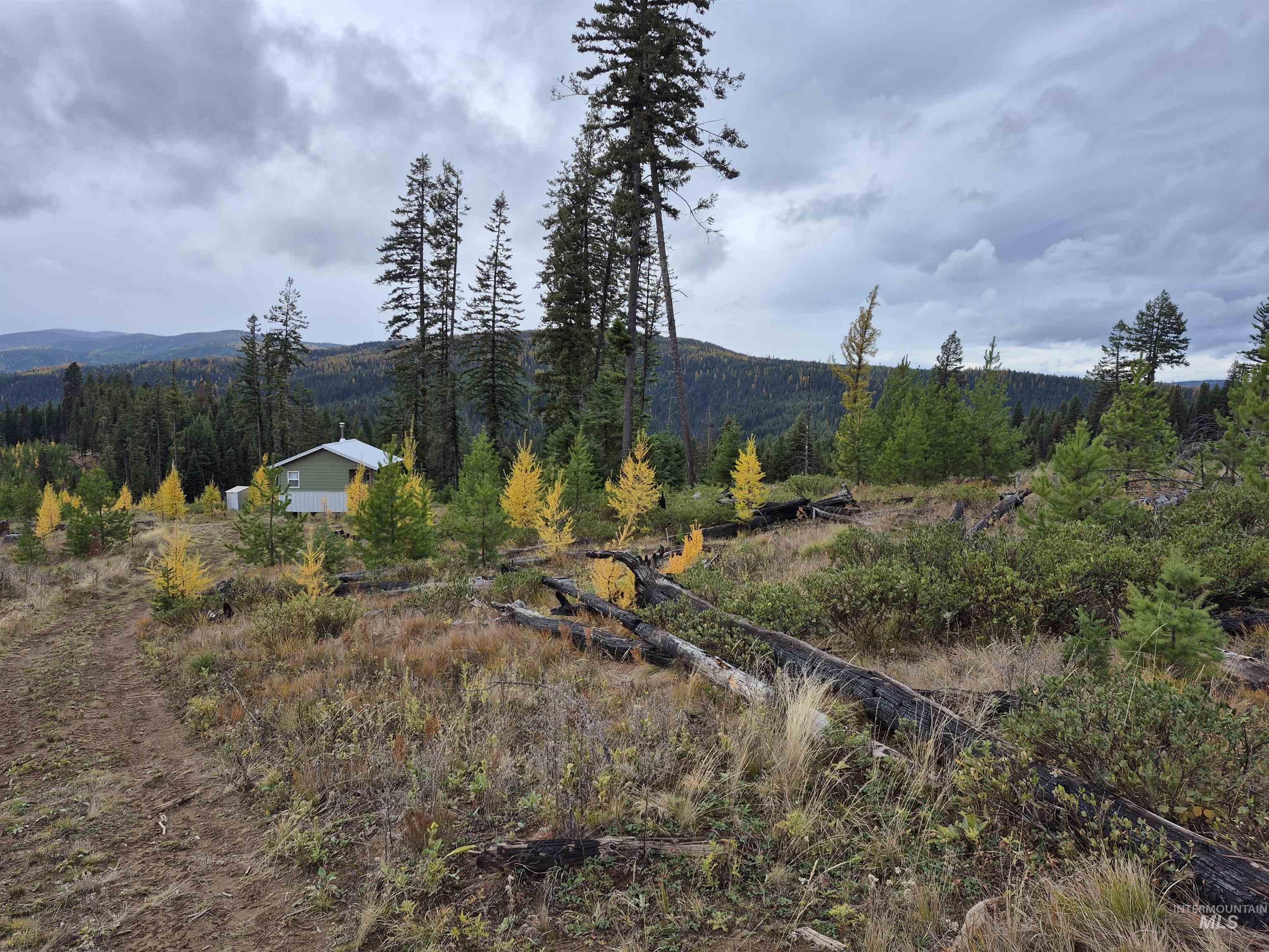 TBD French Gulch Rd Parcel #2, Elk City, Idaho 83525, Residential For Sale, Price $229,000,MLS 98885127