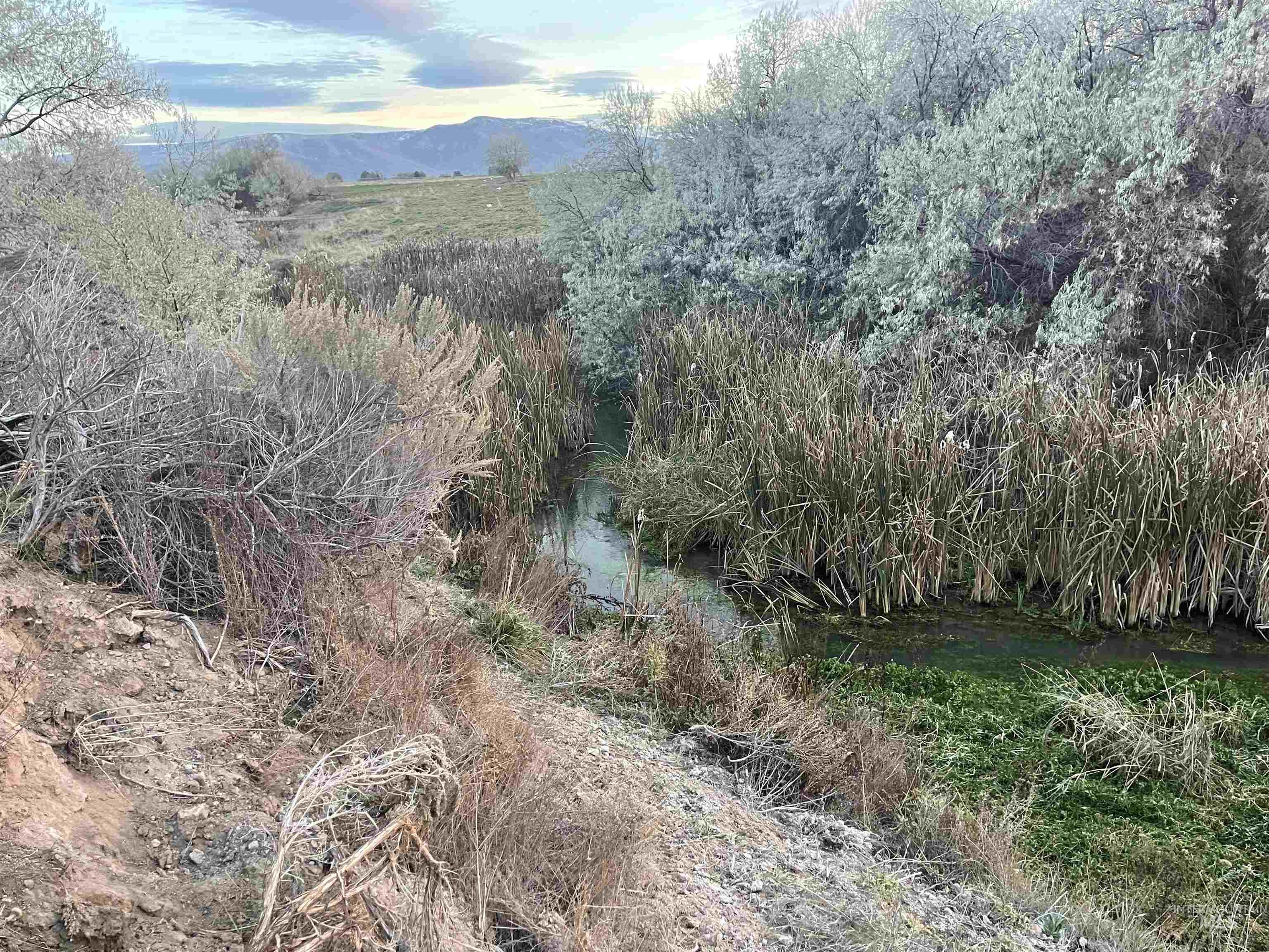 525 E 150 S, Burley, Idaho 83318, Land For Sale, Price $750,000, 98893865