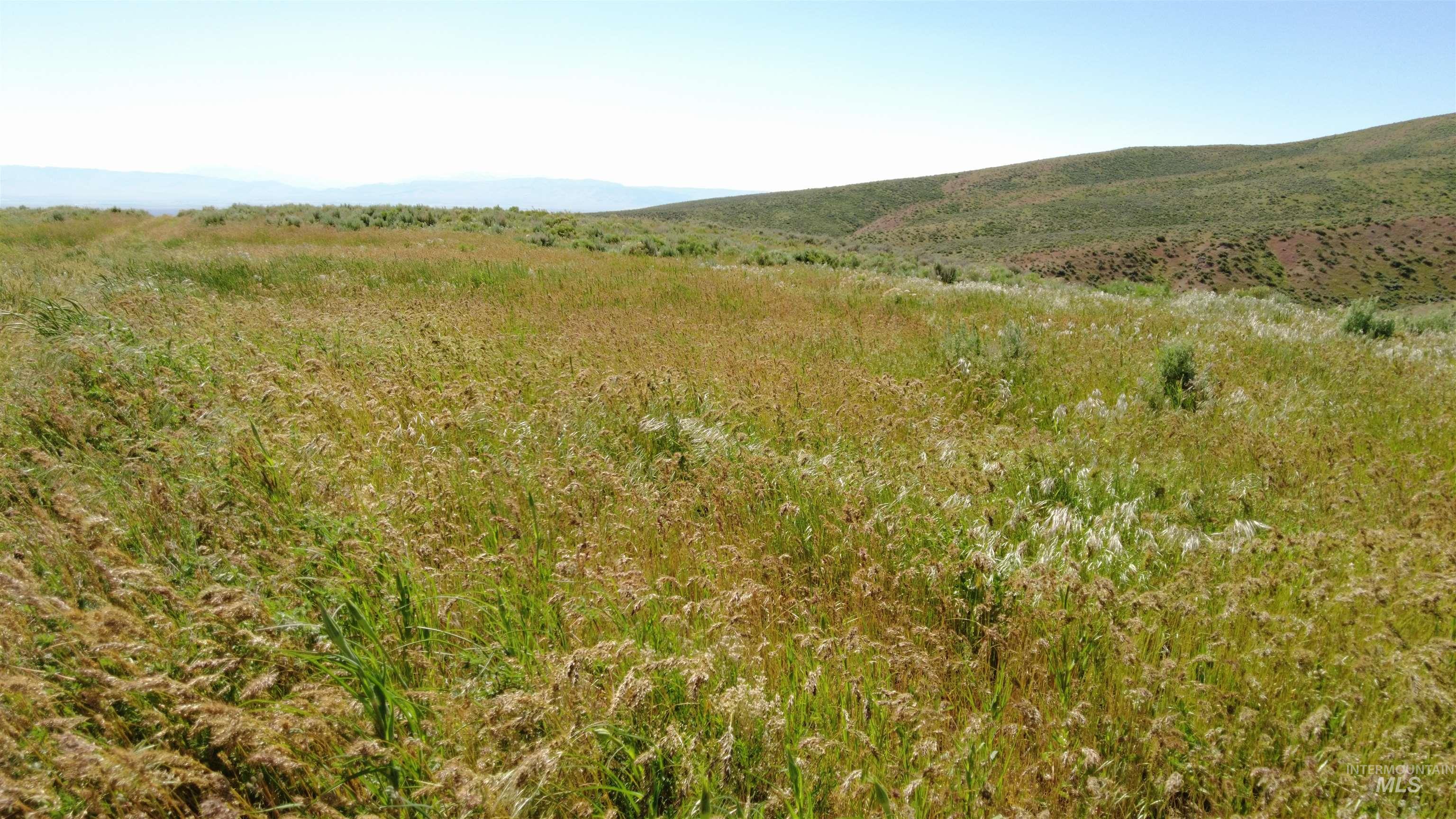 Sublette Grazing, Malta, Idaho 83342, Farm & Ranch For Sale, Price $855,660,MLS 98901109