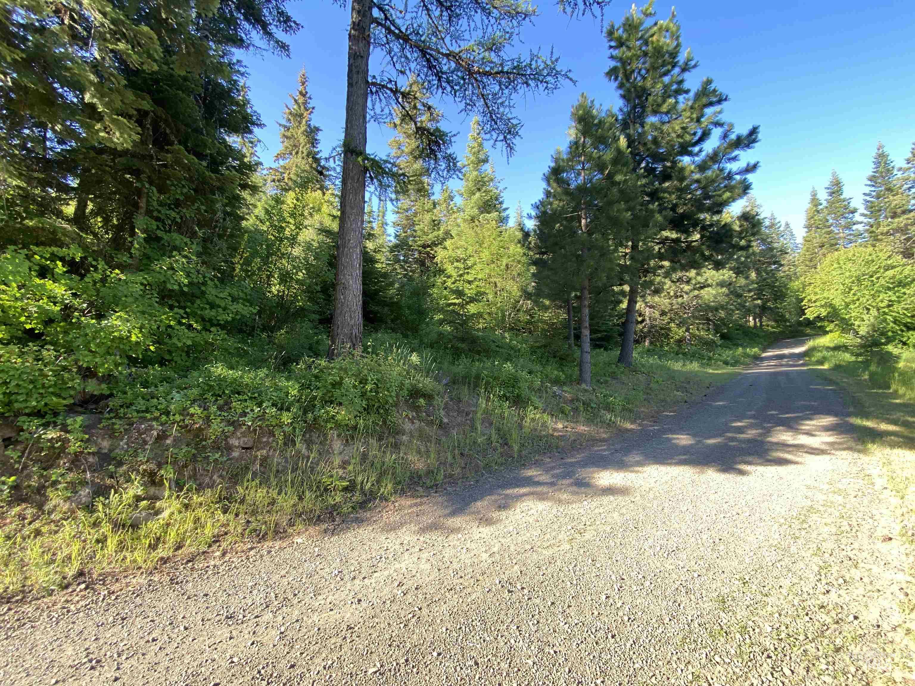 TBD BuckBoard Lane, Waha, Idaho 83501, Land For Sale, Price $325,000,MLS 98903029