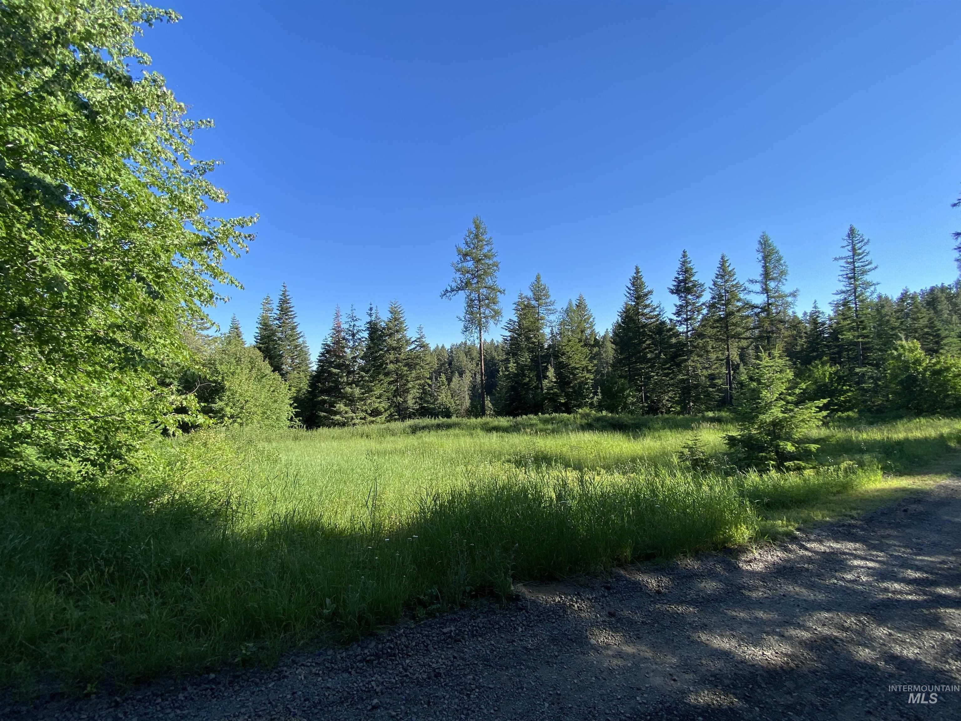 TBD BuckBoard Lane, Waha, Idaho 83501, Land For Sale, Price $325,000,MLS 98903029