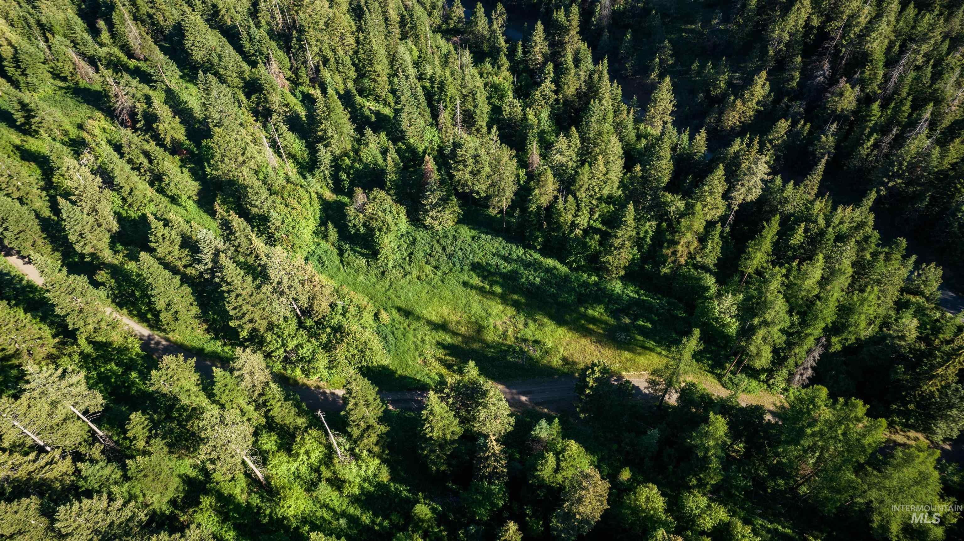 TBD BuckBoard Lane, Waha, Idaho 83501, Land For Sale, Price $325,000,MLS 98903029