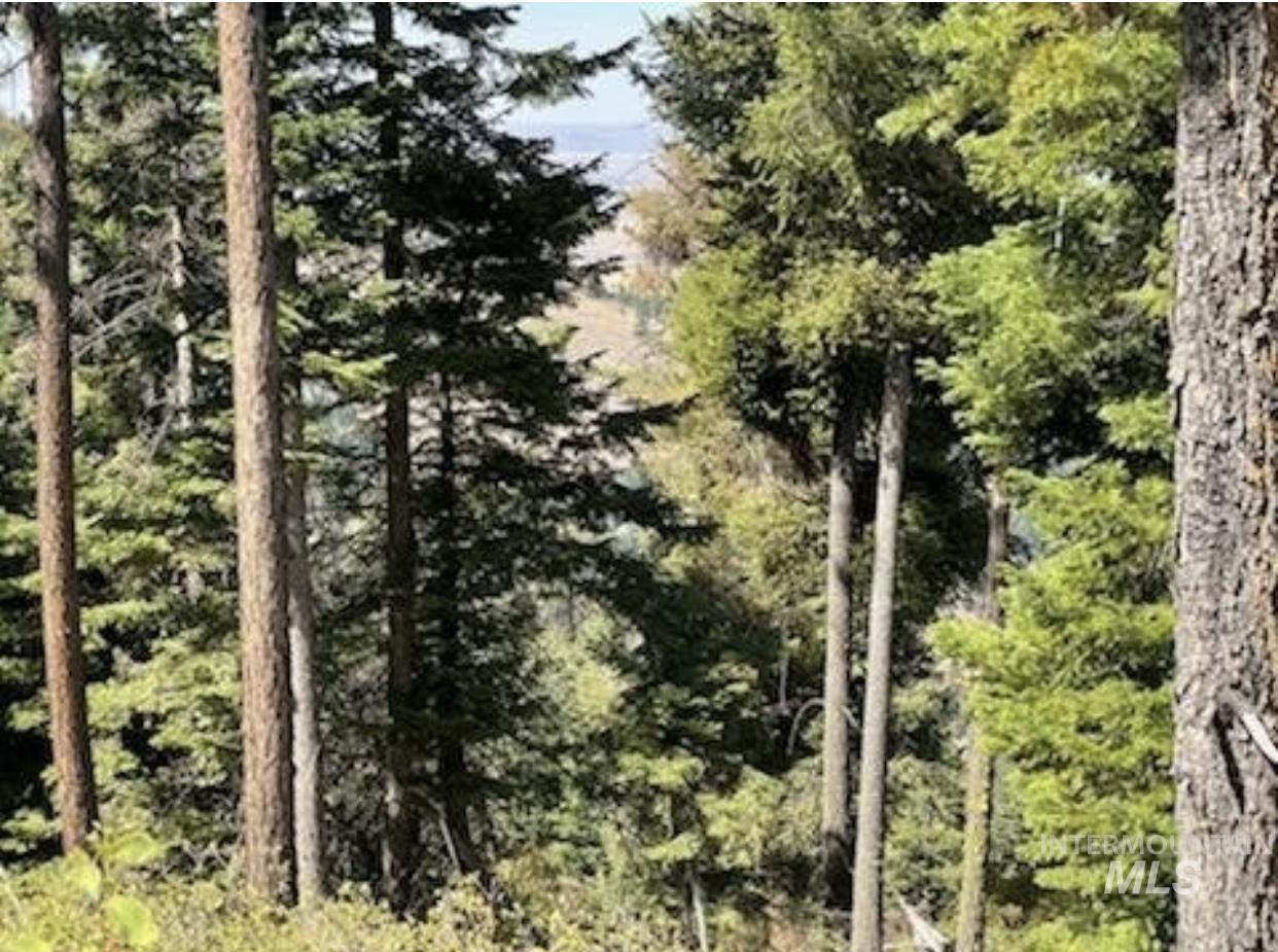 TBD BuckBoard Lane, Waha, Idaho 83501, Land For Sale, Price $325,000,MLS 98903029