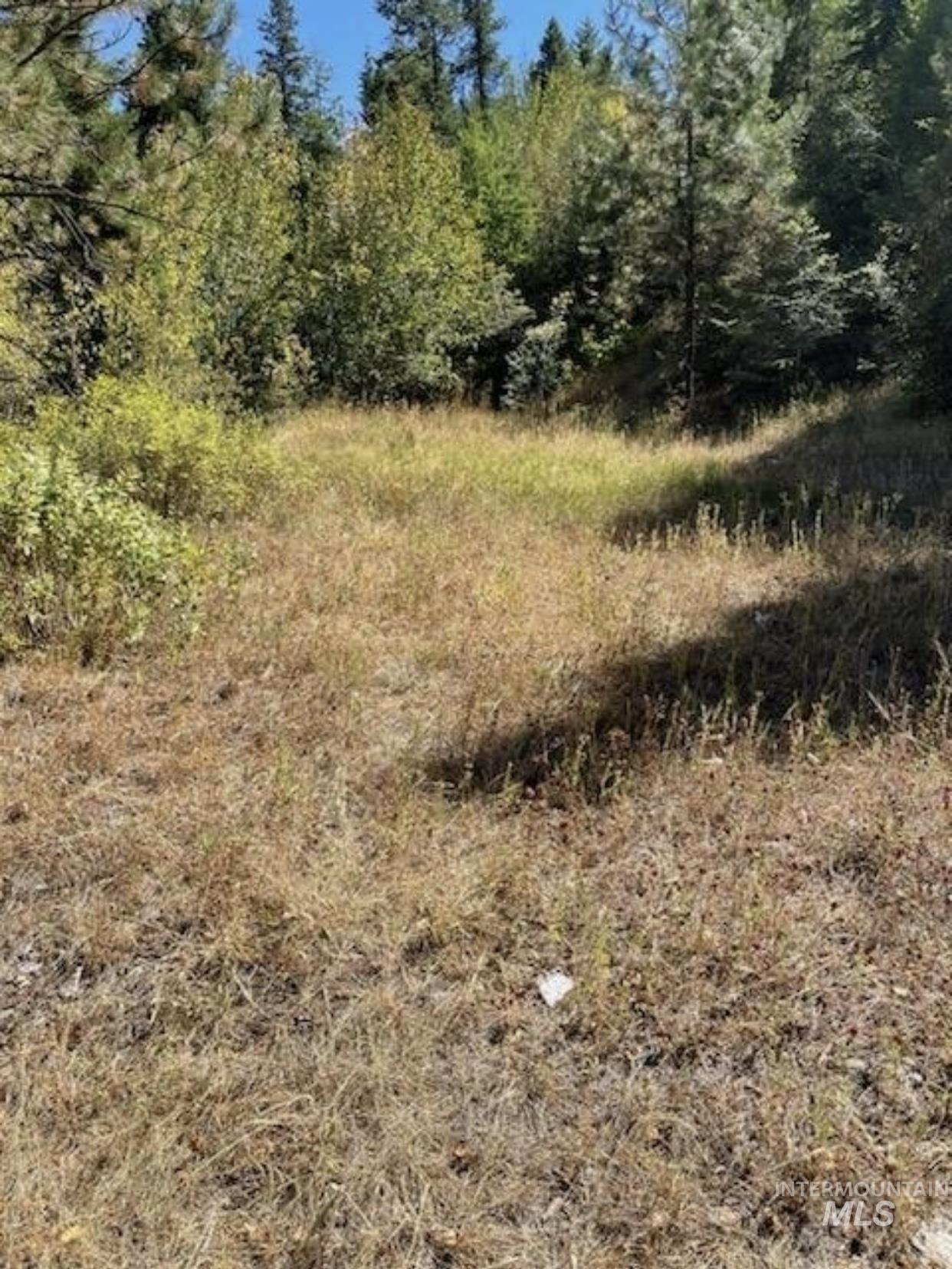 TBD BuckBoard Lane, Waha, Idaho 83501, Land For Sale, Price $325,000,MLS 98903029