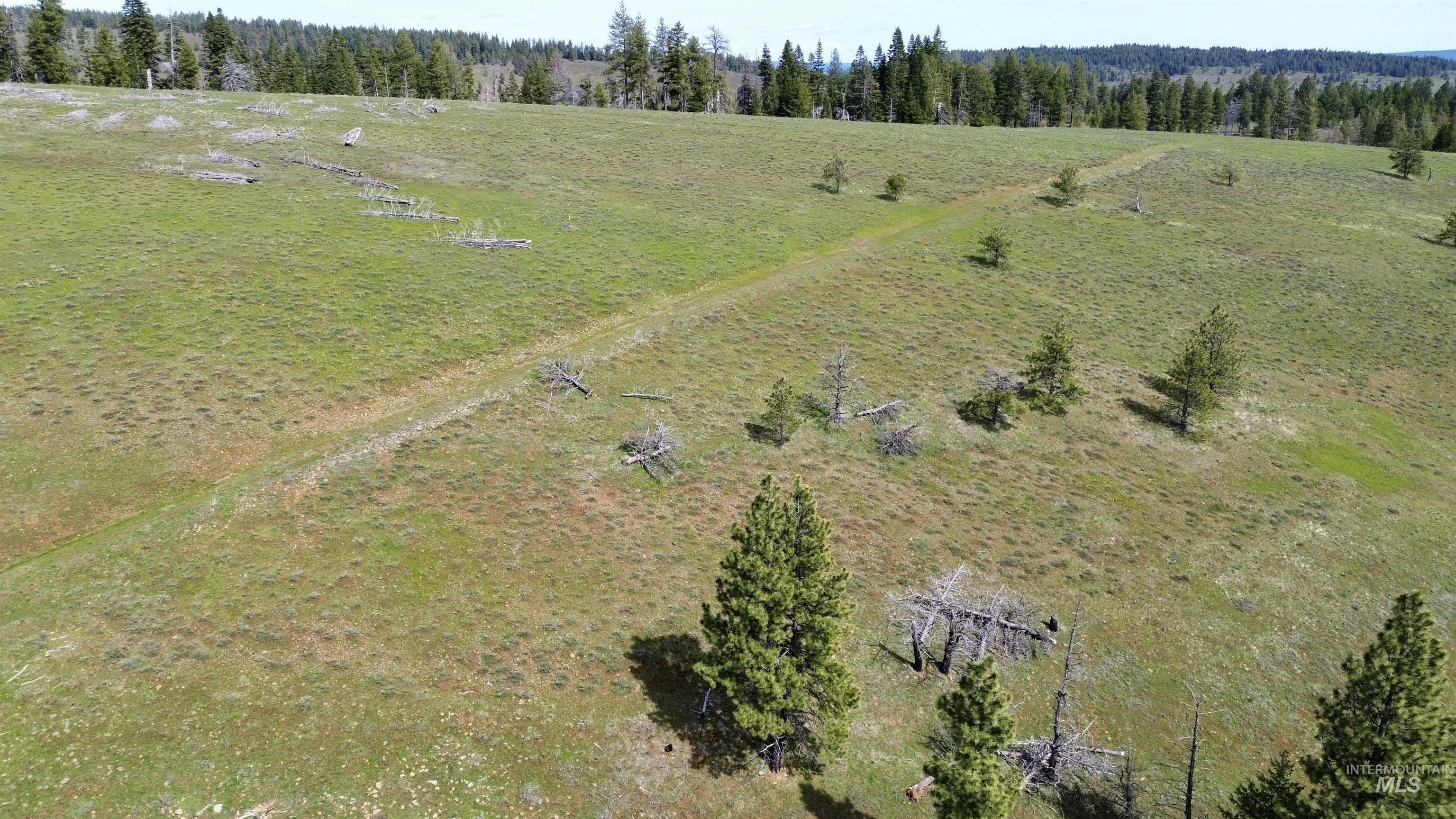 TBD HWY 204, Elgin, Oregon 97827, Land For Sale, Price $2,950,000,MLS 98906520