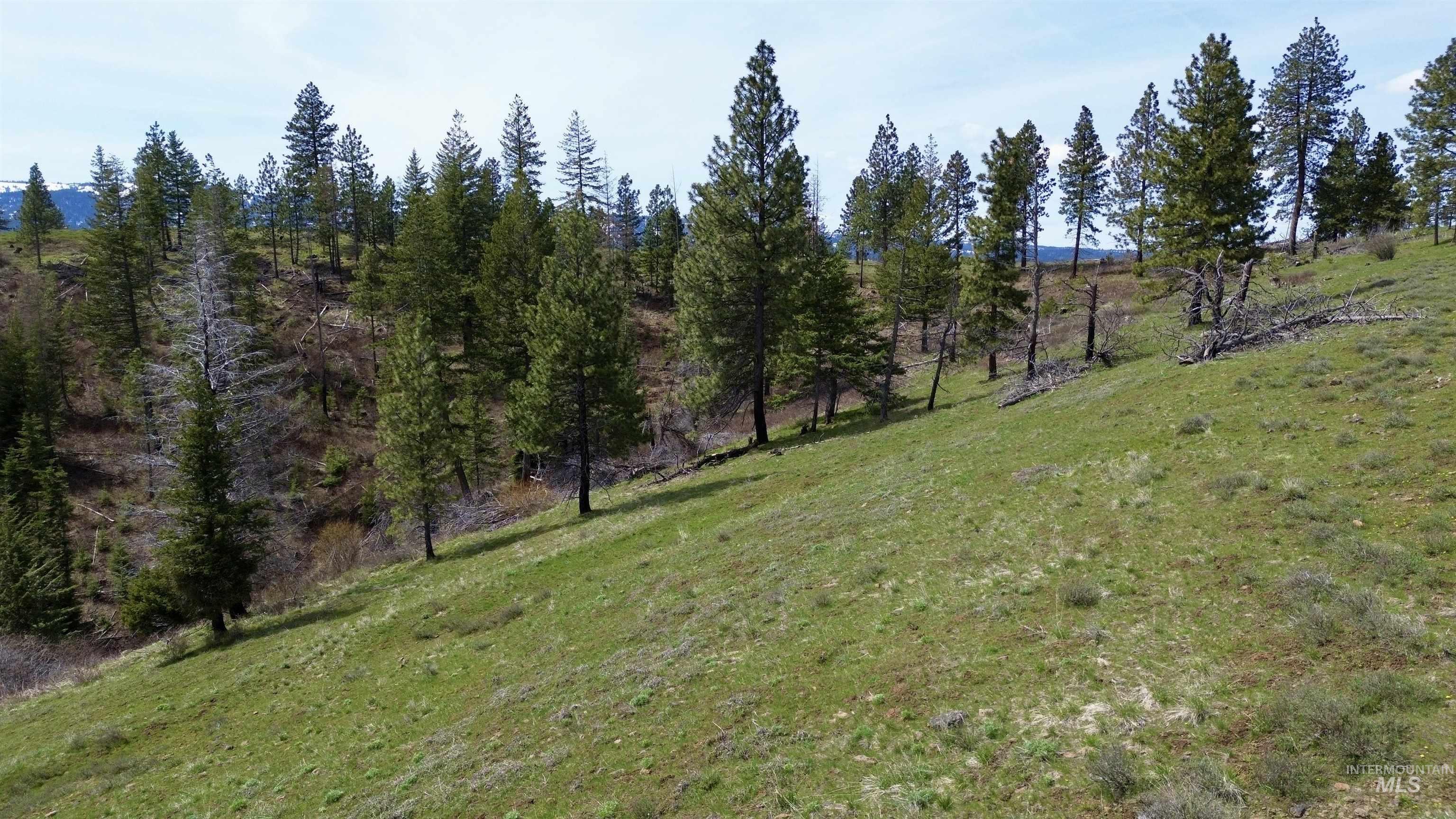 TBD HWY 204, Elgin, Oregon 97827, Land For Sale, Price $2,950,000,MLS 98906520