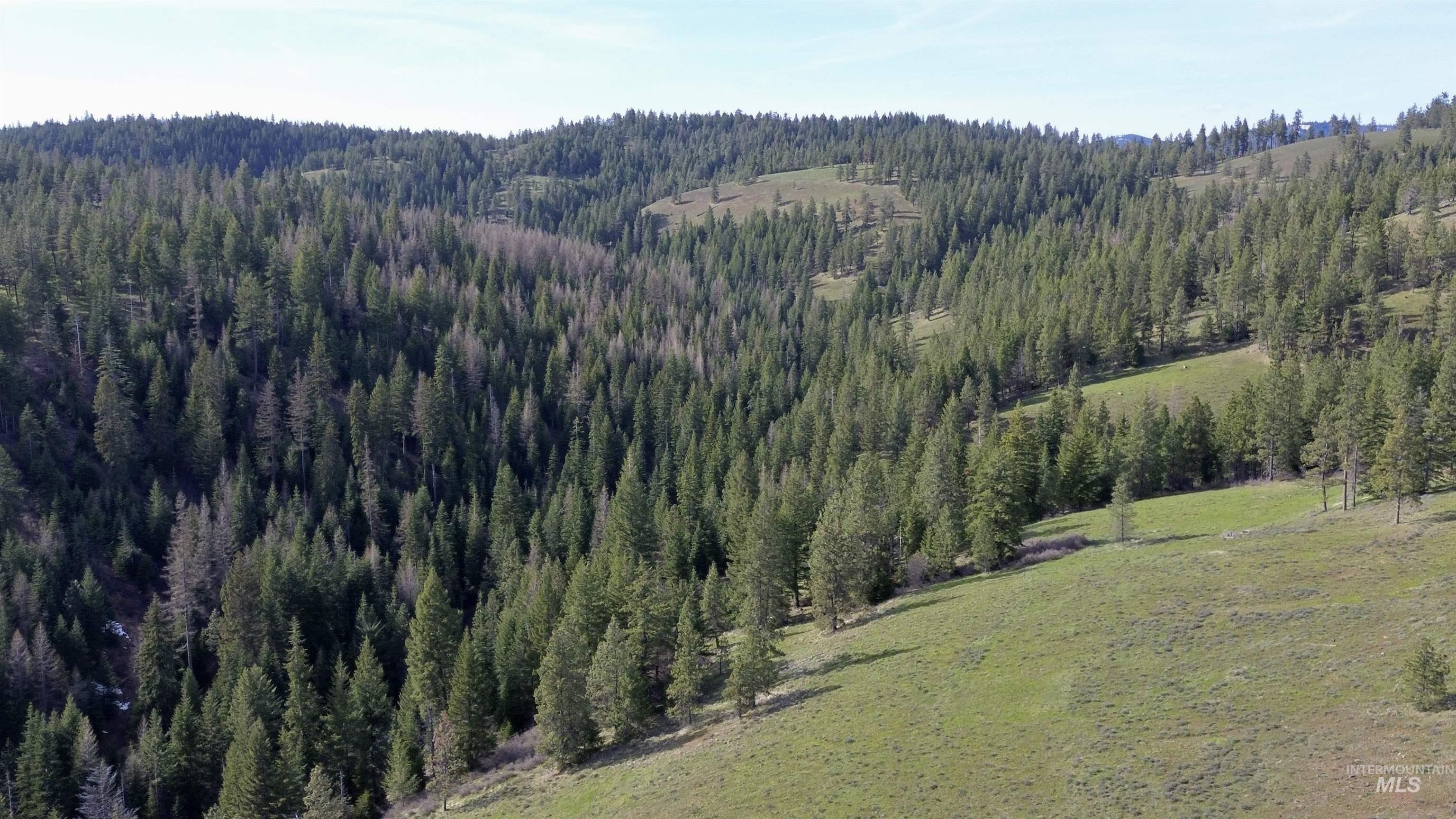 TBD HWY 204, Elgin, Oregon 97827, Land For Sale, Price $2,950,000,MLS 98906520