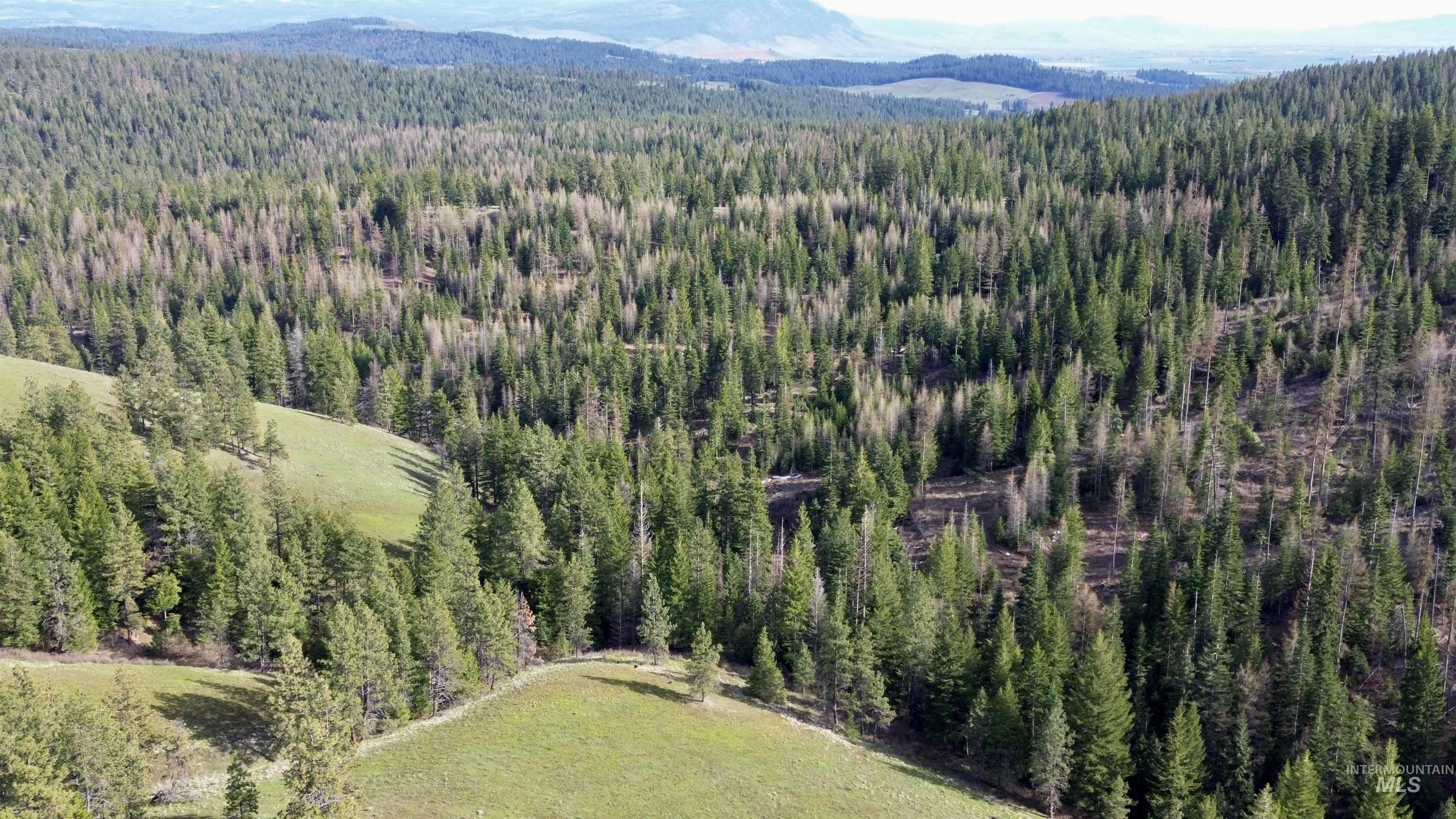 TBD HWY 204, Elgin, Oregon 97827, Land For Sale, Price $2,950,000,MLS 98906520