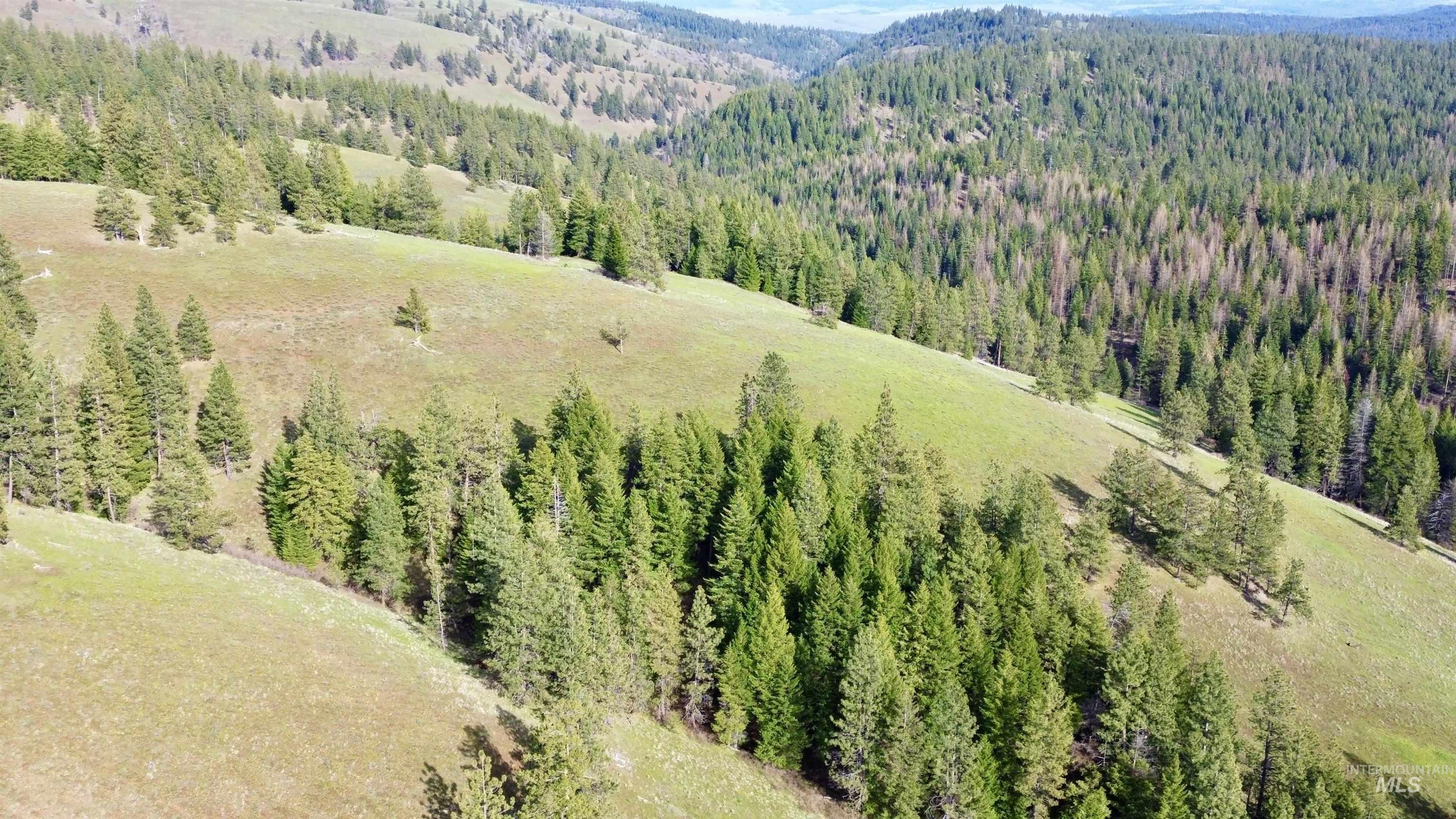 TBD HWY 204, Elgin, Oregon 97827, Land For Sale, Price $2,950,000,MLS 98906520