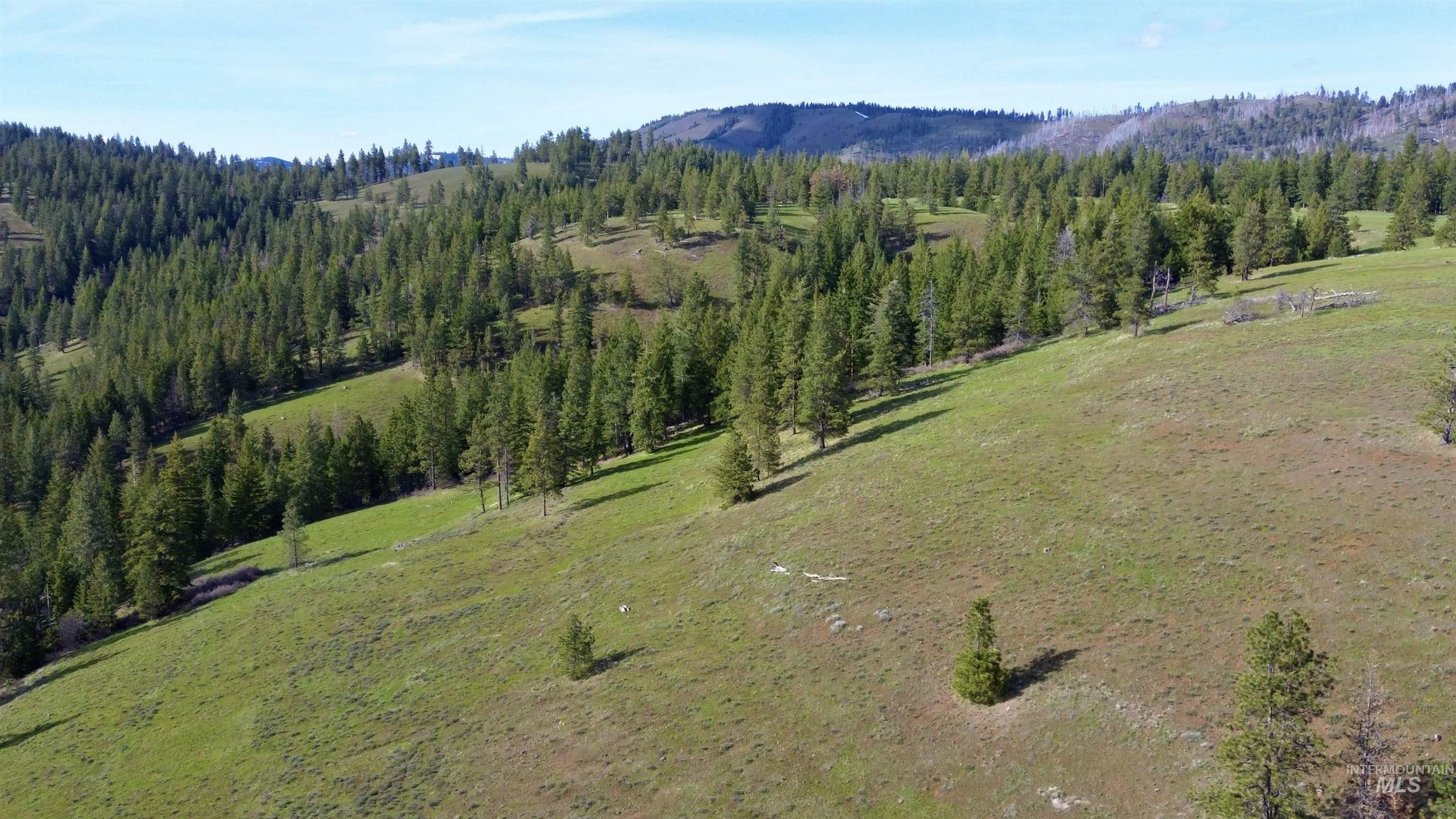 TBD HWY 204, Elgin, Oregon 97827, Land For Sale, Price $2,950,000,MLS 98906520
