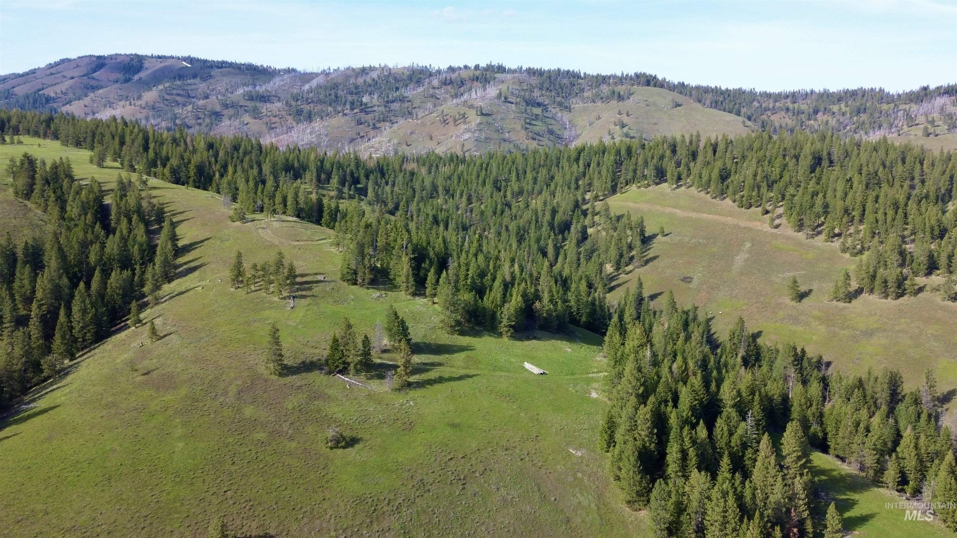 TBD HWY 204, Elgin, Oregon 97827, Land For Sale, Price $2,950,000,MLS 98906520