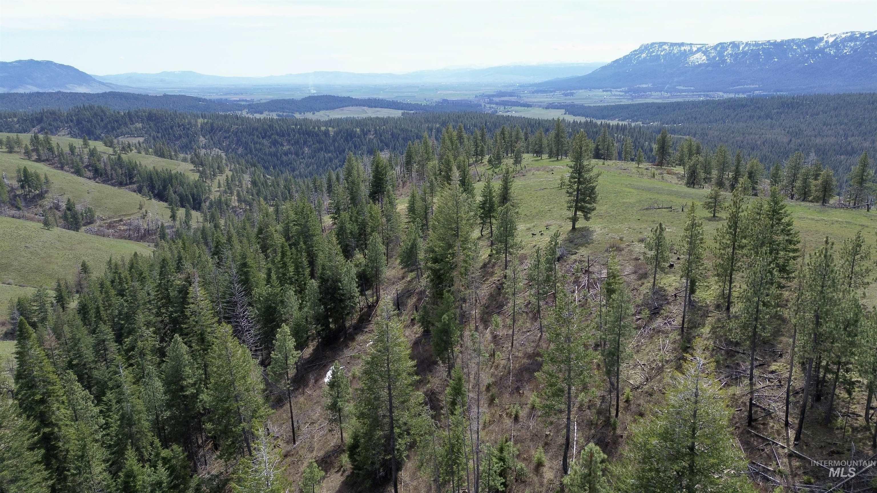 TBD HWY 204, Elgin, Oregon 97827, Land For Sale, Price $2,950,000,MLS 98906520