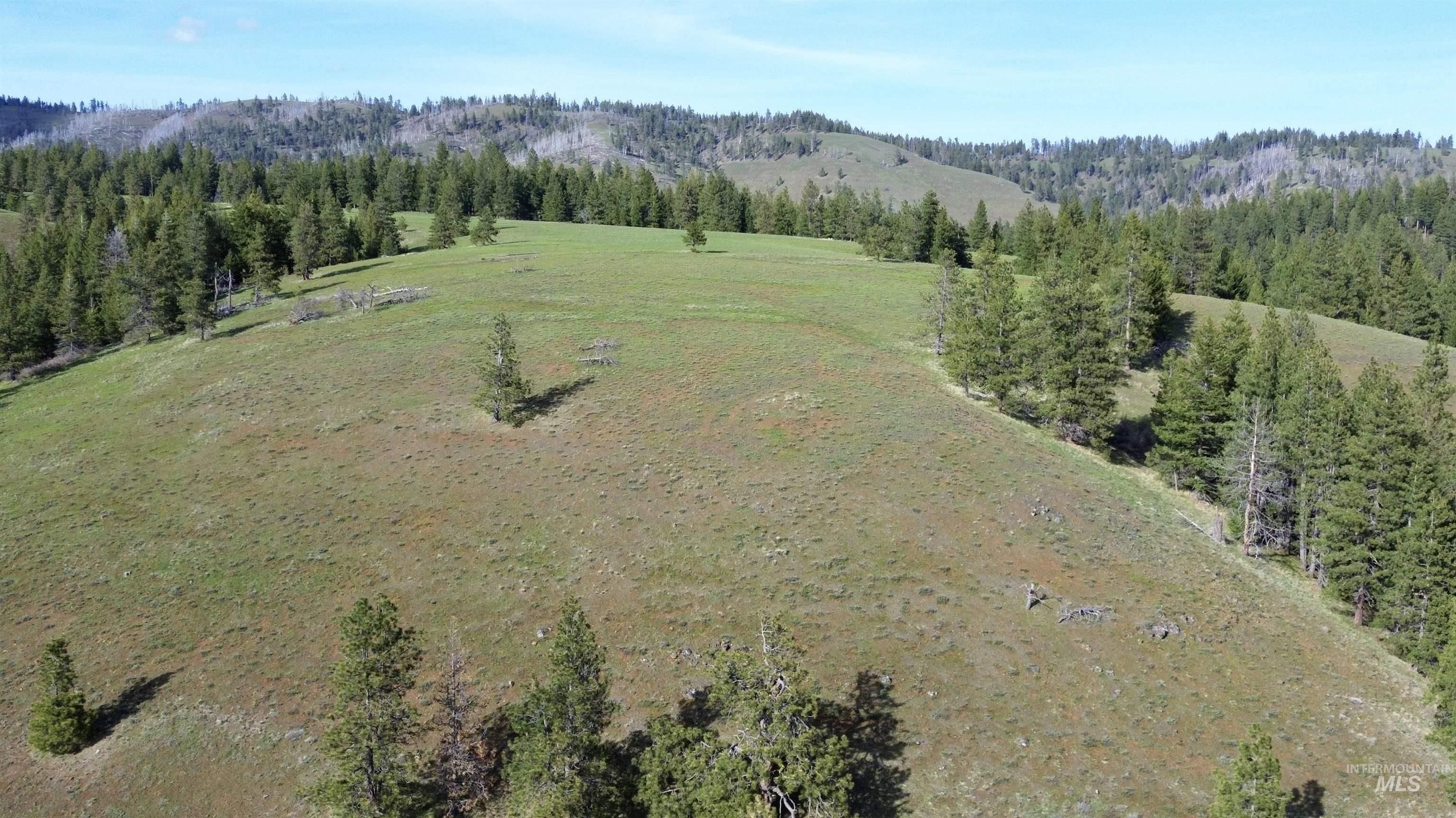 TBD HWY 204, Elgin, Oregon 97827, Land For Sale, Price $2,950,000,MLS 98906520