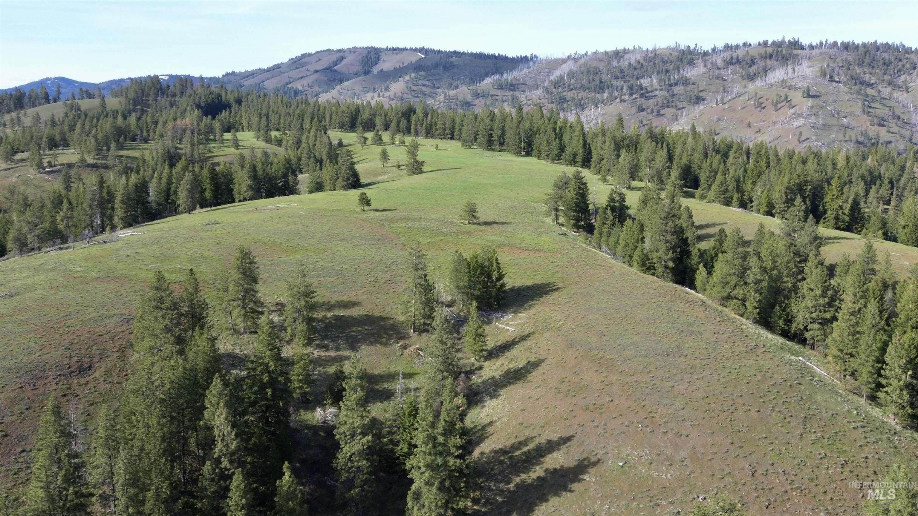 TBD HWY 204, Elgin, Oregon 97827, Land For Sale, Price $2,950,000,MLS 98906520