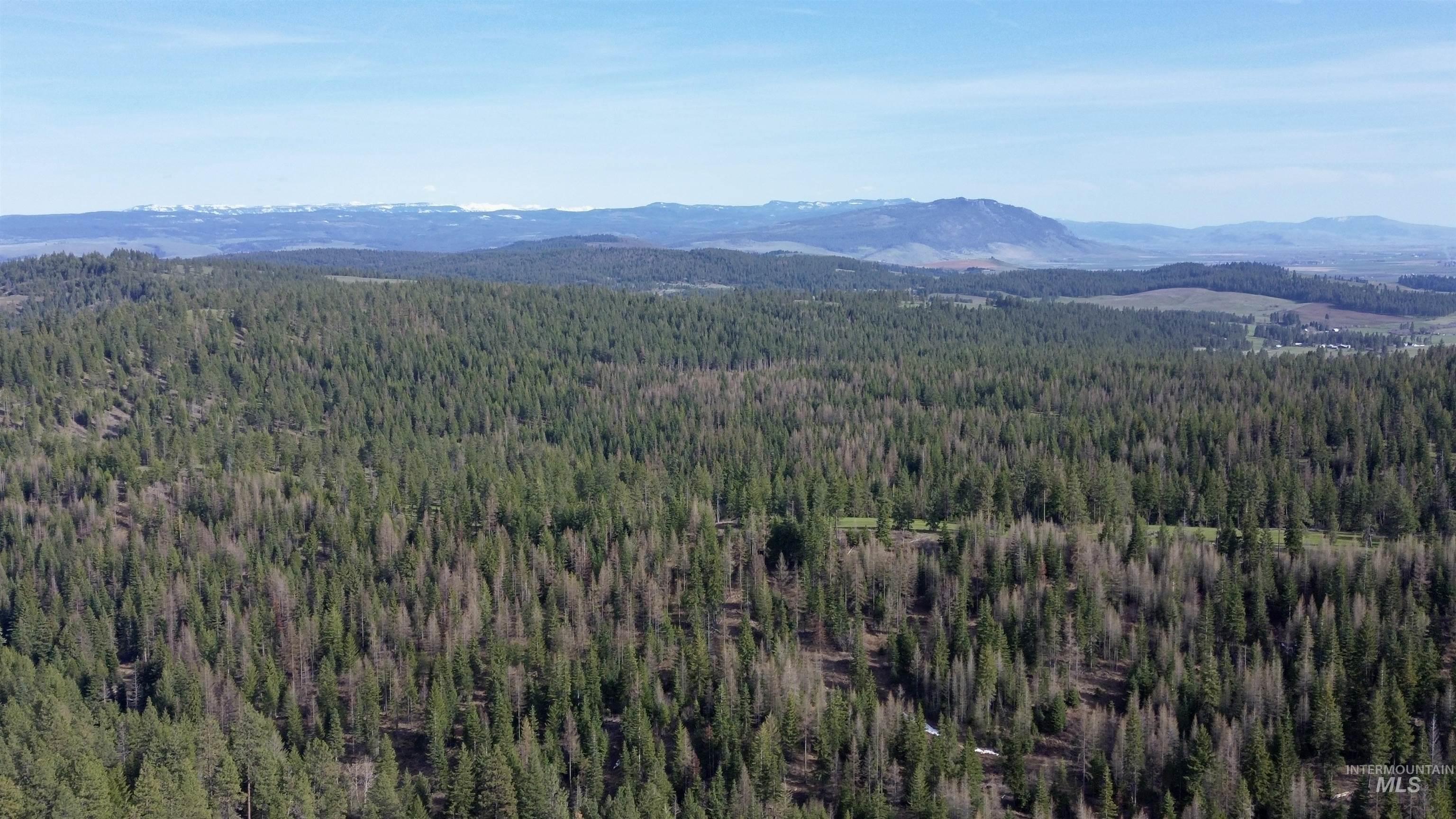 TBD HWY 204, Elgin, Oregon 97827, Land For Sale, Price $2,950,000,MLS 98906520