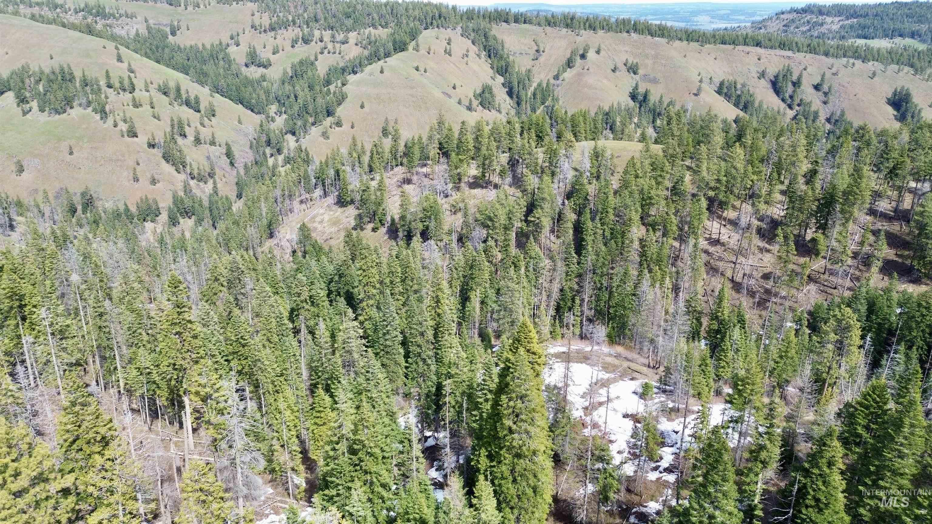 TBD HWY 204, Elgin, Oregon 97827, Land For Sale, Price $2,950,000,MLS 98906520