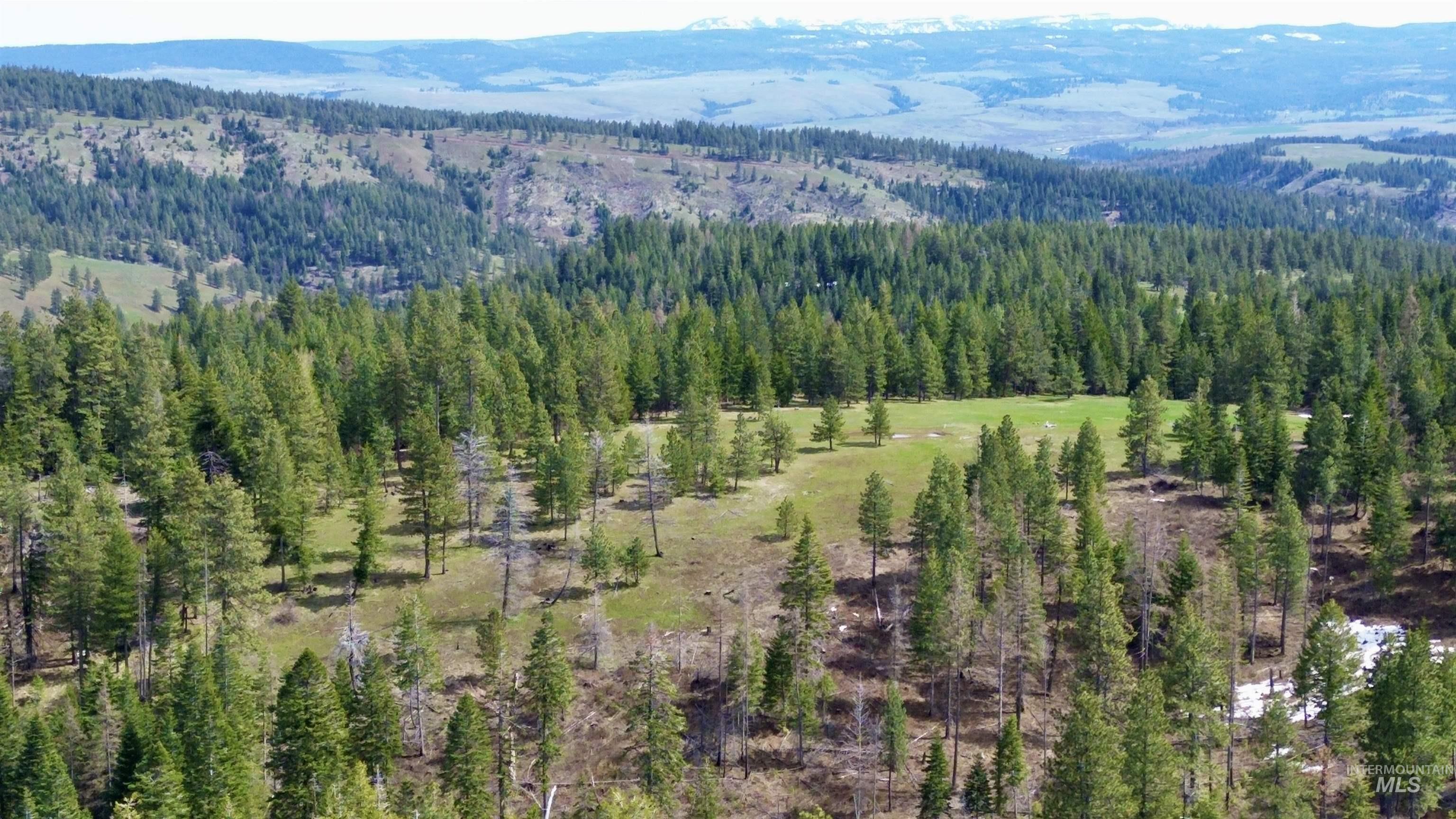 TBD HWY 204, Elgin, Oregon 97827, Land For Sale, Price $2,950,000,MLS 98906520
