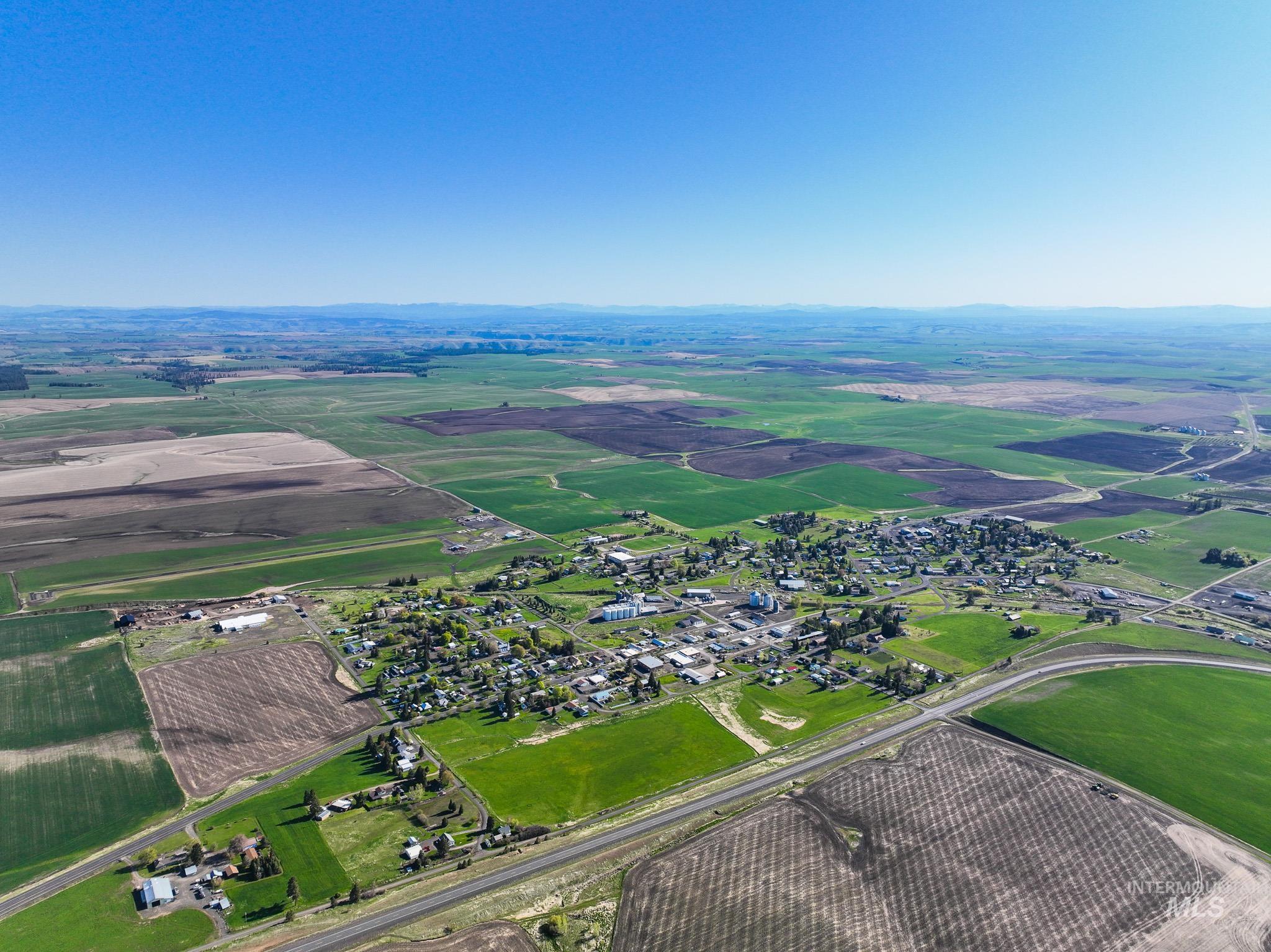 TBD Cold Spring Gulch Rd, Craigmont, Idaho 83523, Land For Sale, Price $299,900,MLS 98906695