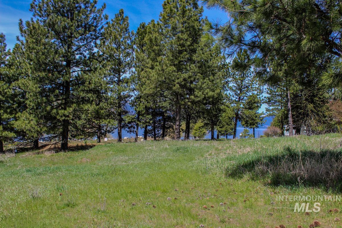 511 Lakeview Drive, Cascade, Idaho 83611, Land For Sale, Price $289,000, 98910628