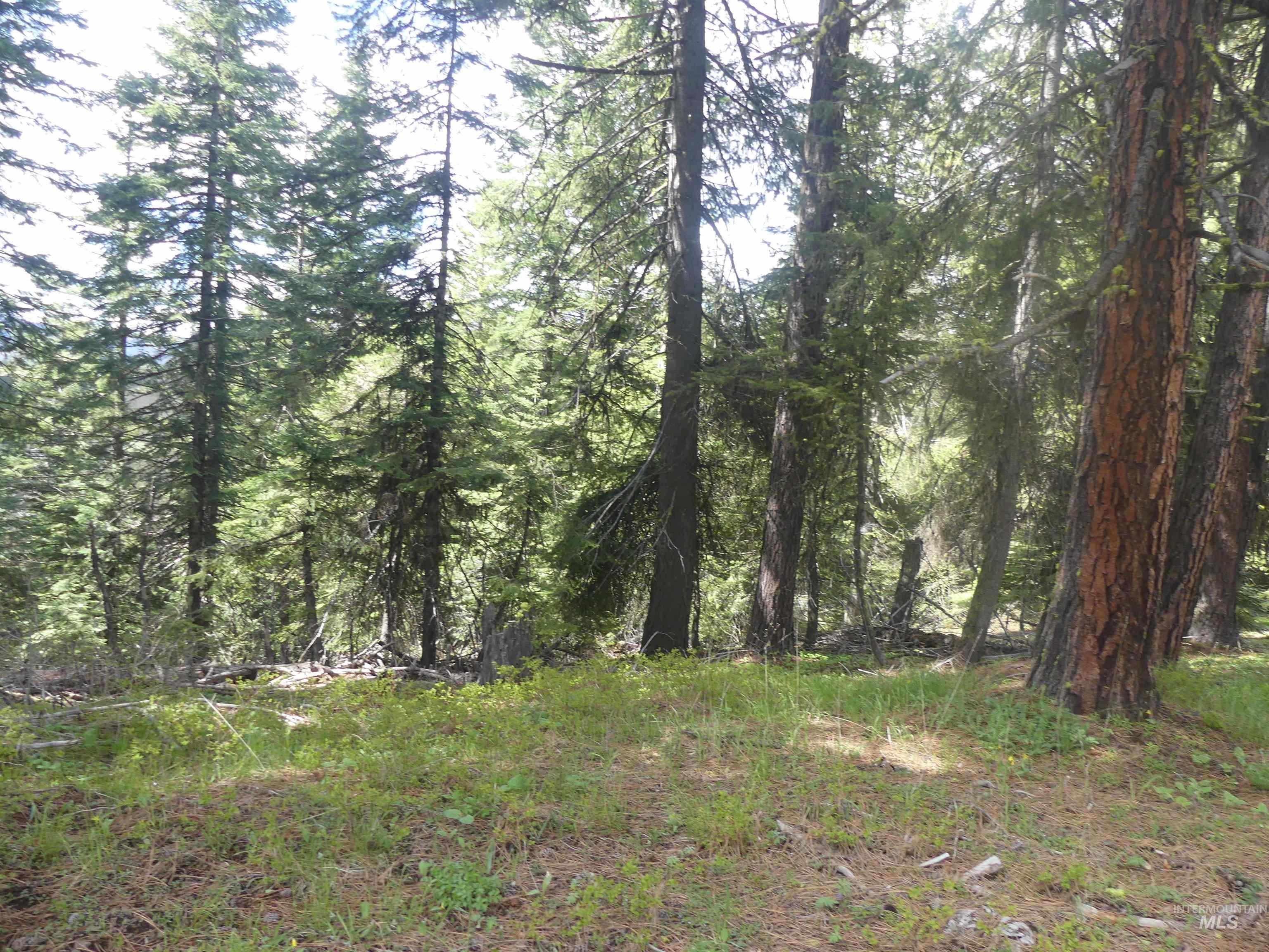 000 Hansen Ridge Road, Anatone, Washington 99401, Land For Sale, Price $350,000, 98910830