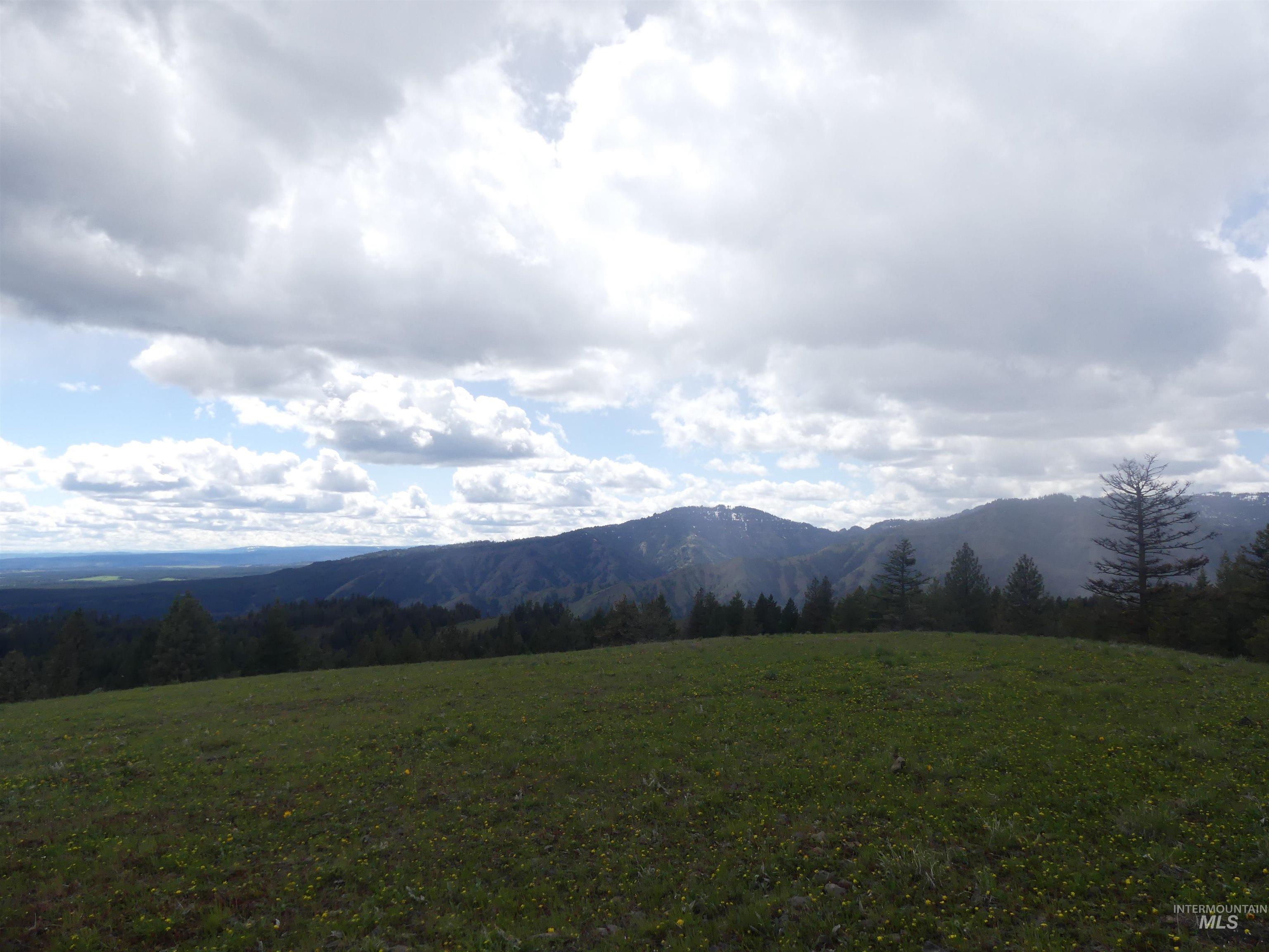 000 Hansen Ridge Road, Anatone, Washington 99401, Land For Sale, Price $350,000, 98910830