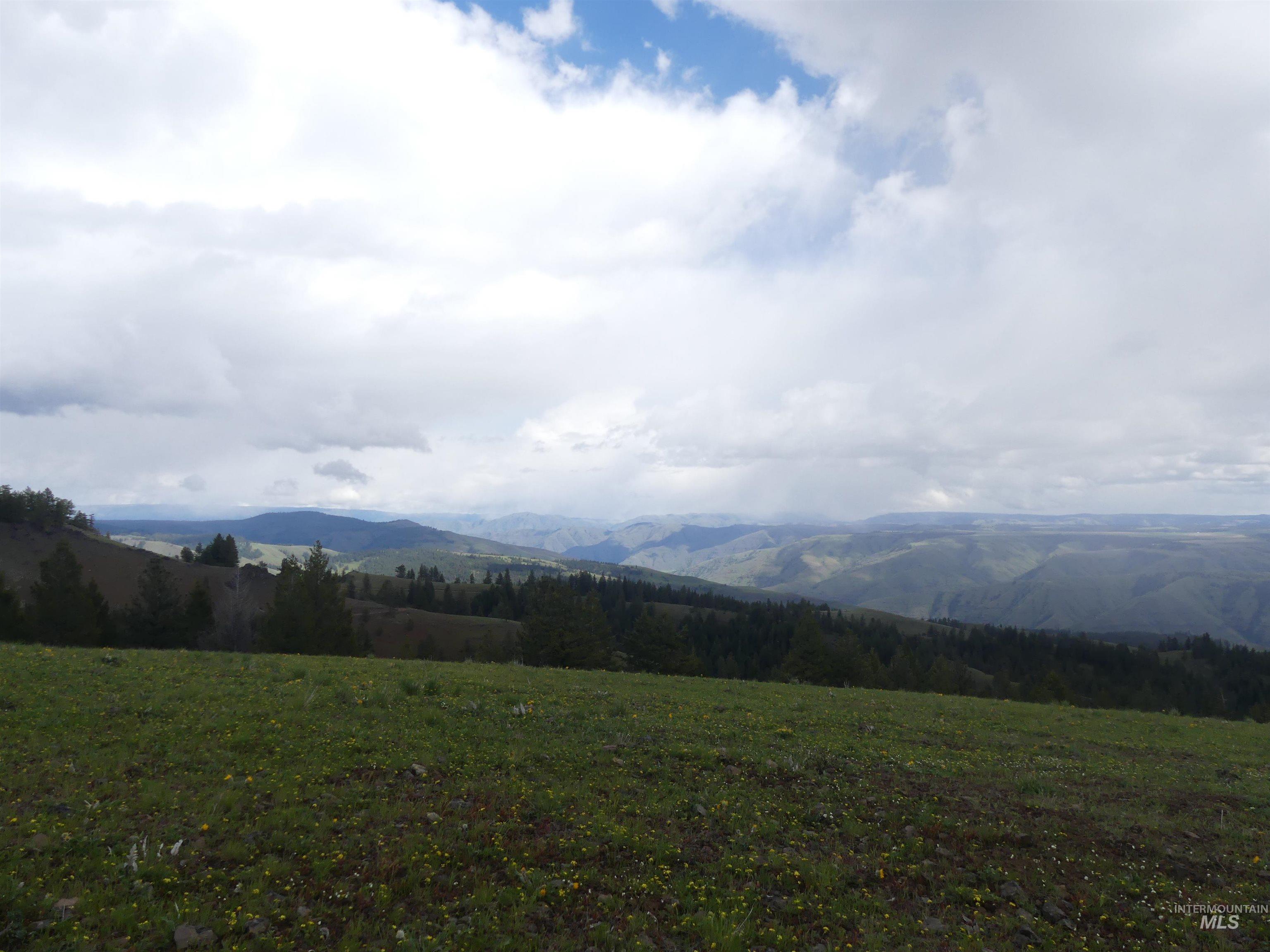 000 Hansen Ridge Road, Anatone, Washington 99401, Land For Sale, Price $350,000, 98910830