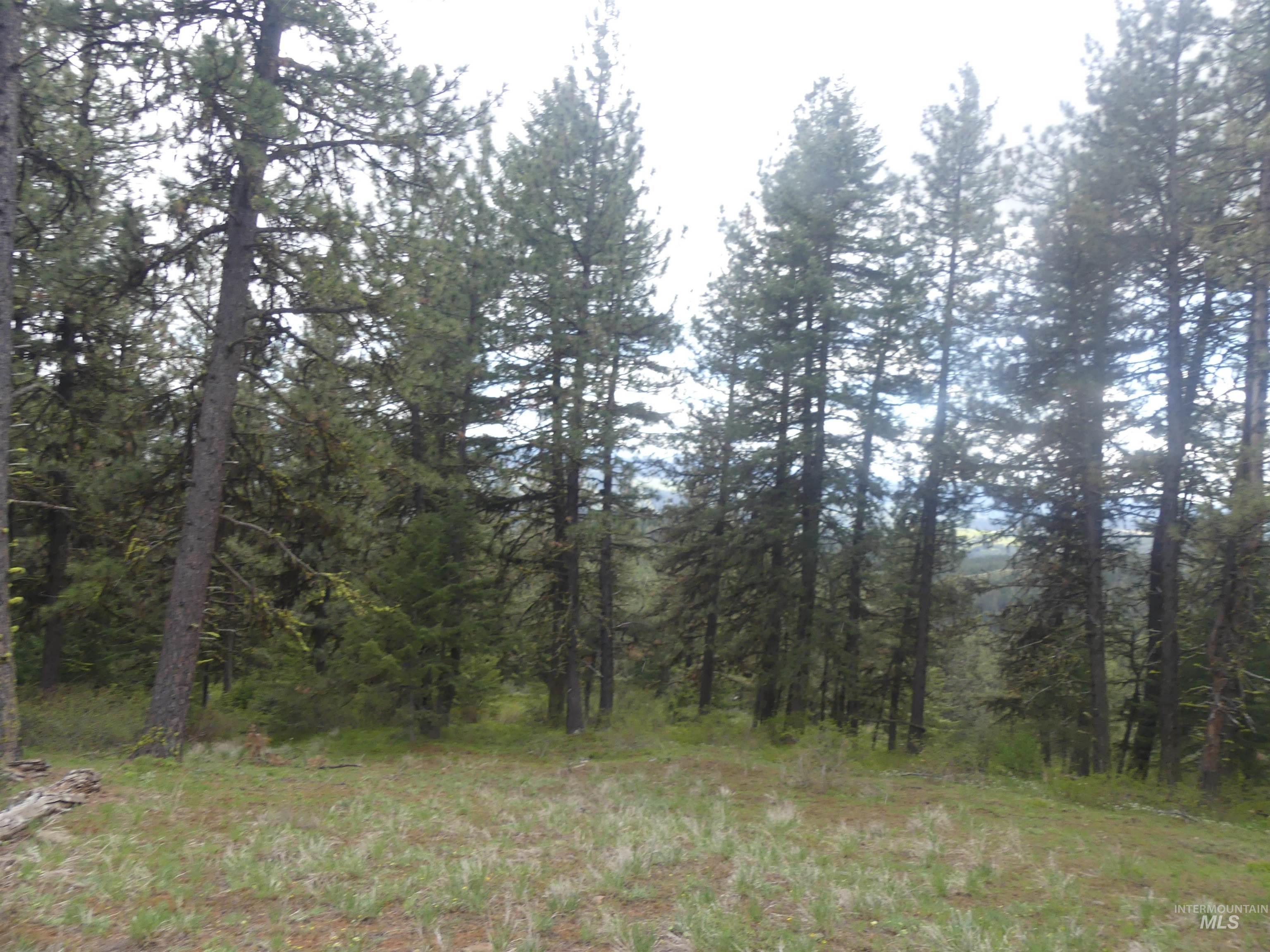 000 Hansen Ridge Road, Anatone, Washington 99401, Land For Sale, Price $350,000, 98910830