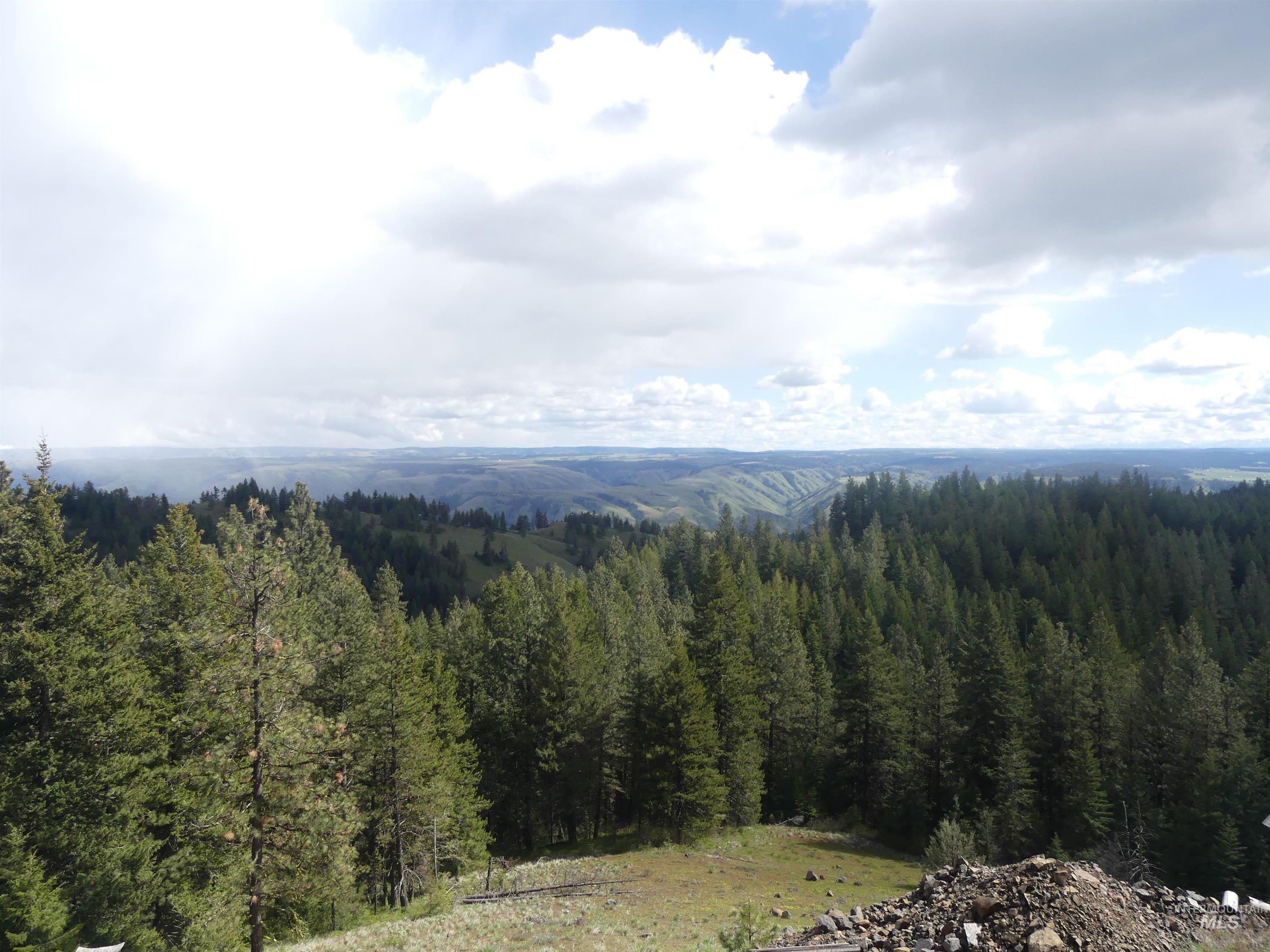 000 Hansen Ridge Road, Anatone, Washington 99401, Land For Sale, Price $350,000, 98910830