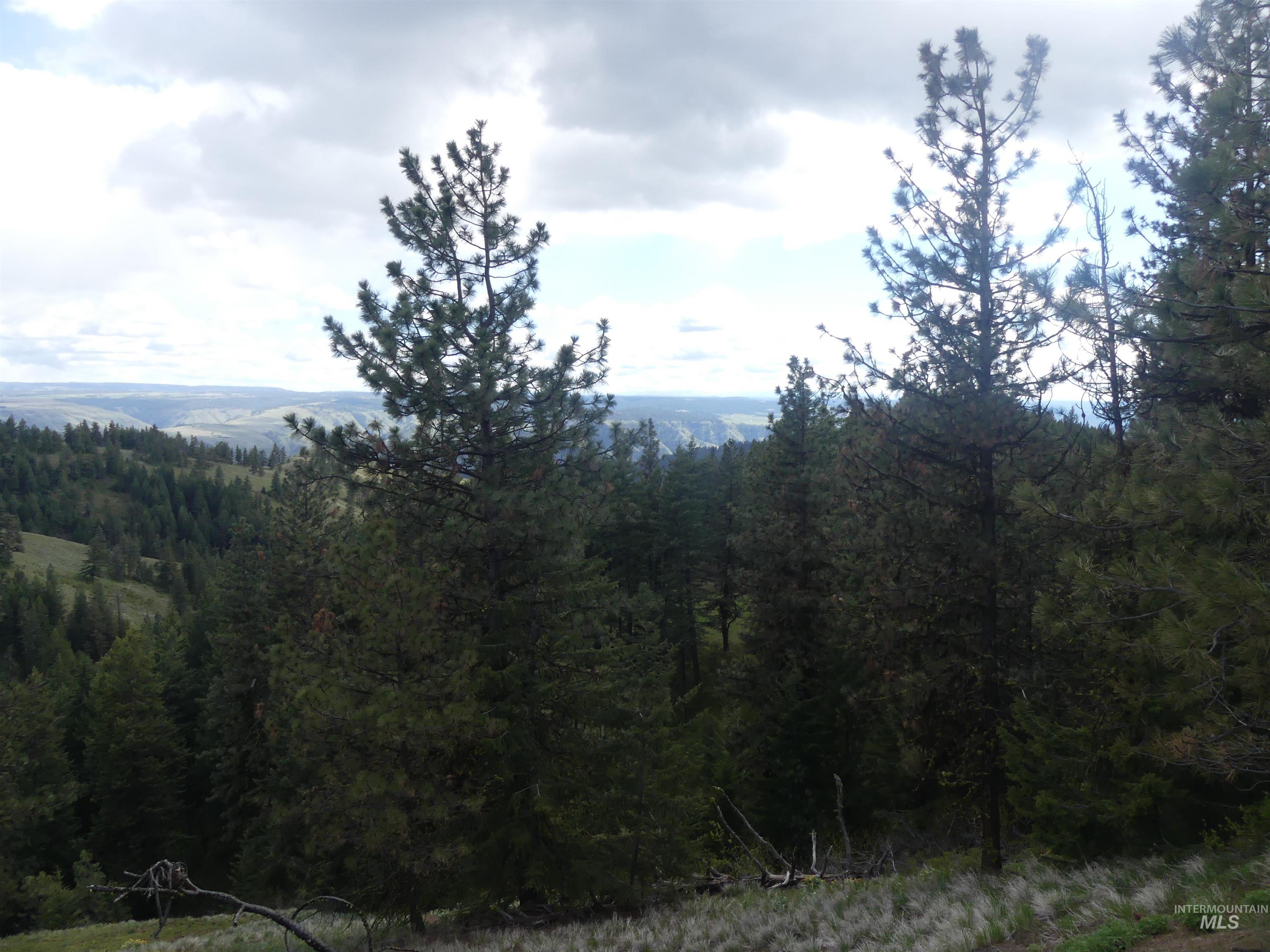 000 Hansen Ridge Road, Anatone, Washington 99401, Land For Sale, Price $350,000, 98910830