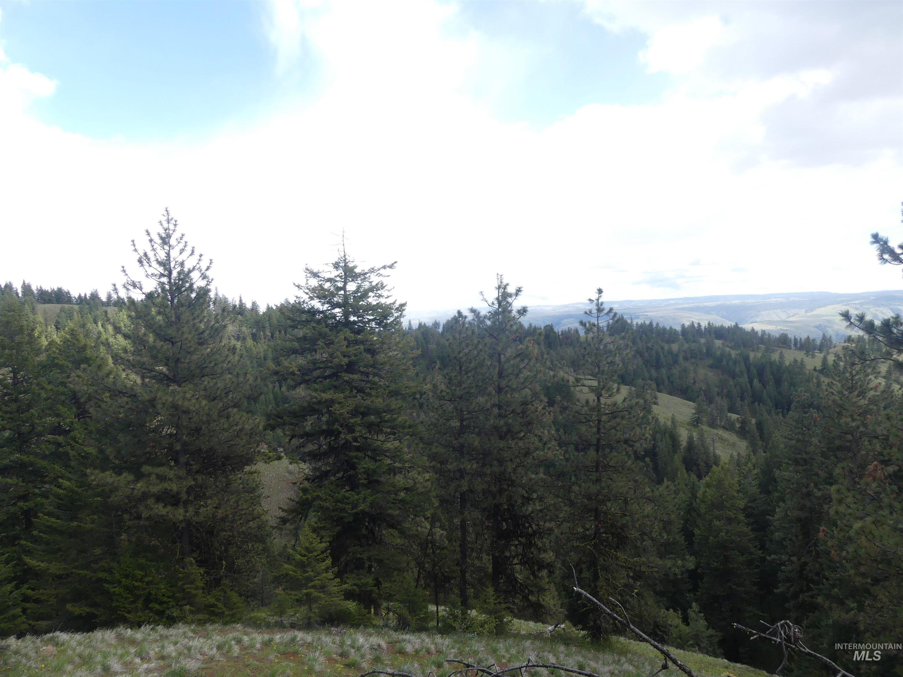 000 Hansen Ridge Road, Anatone, Washington 99401, Land For Sale, Price $350,000, 98910830