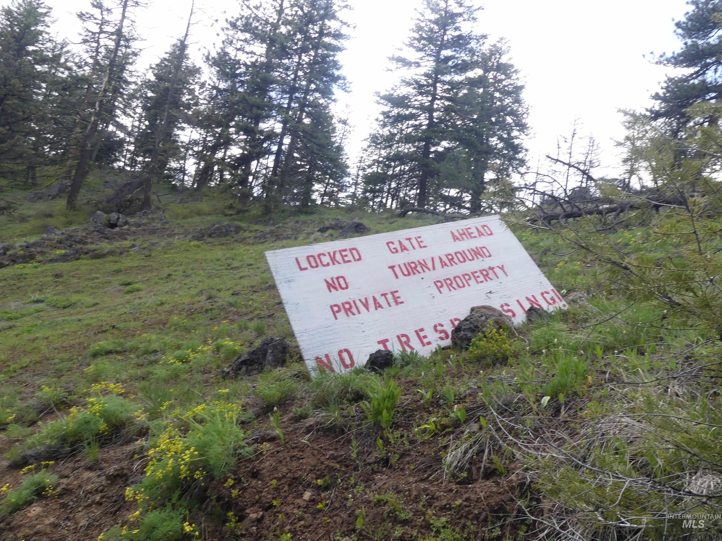 000 Hansen Ridge Road, Anatone, Washington 99401, Land For Sale, Price $350,000, 98910830