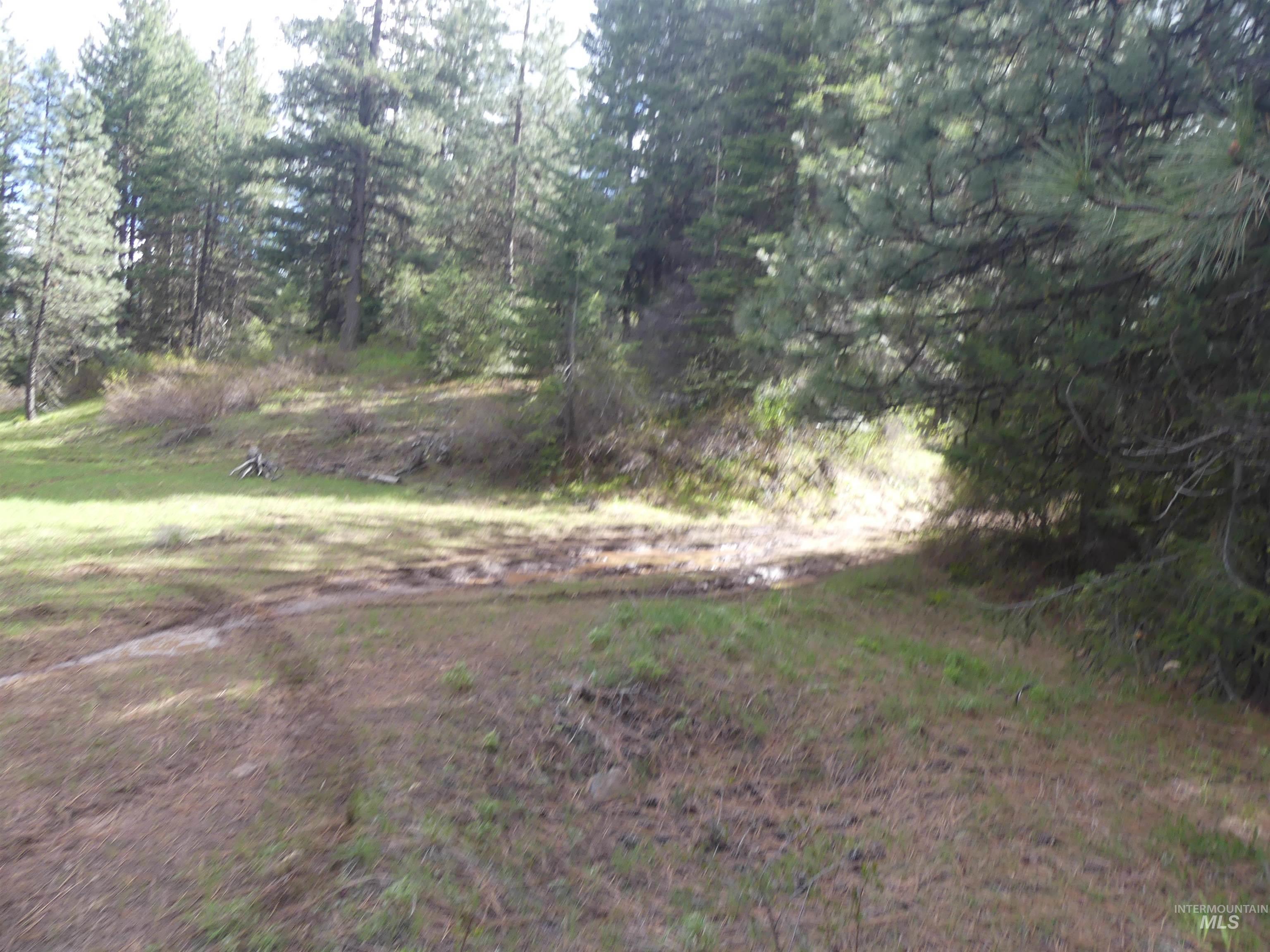 000 Hansen Ridge Road, Anatone, Washington 99401, Land For Sale, Price $350,000, 98910830