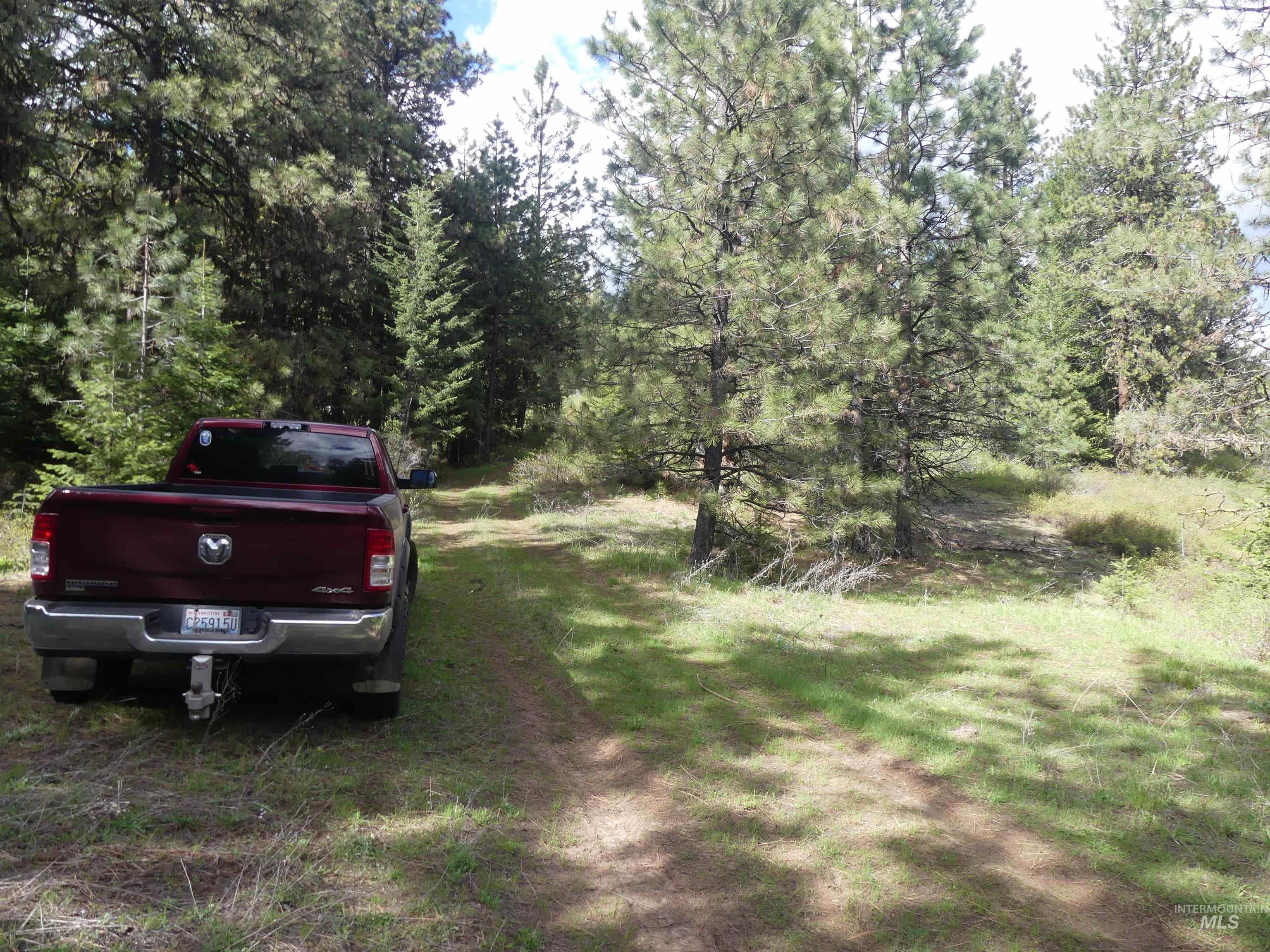 000 Hansen Ridge Road, Anatone, Washington 99401, Land For Sale, Price $350,000, 98910830