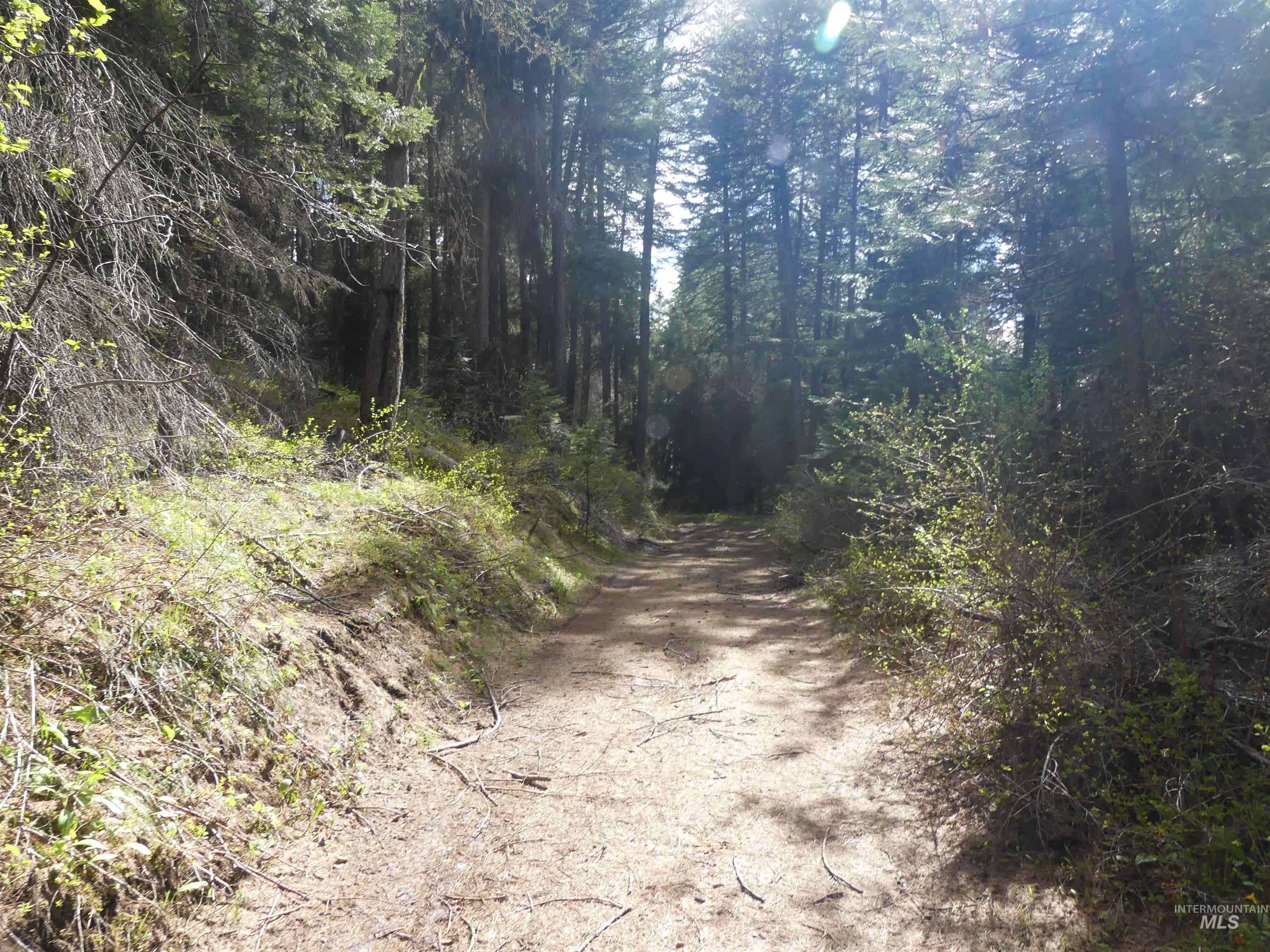 000 Hansen Ridge Road, Anatone, Washington 99401, Land For Sale, Price $350,000, 98910830