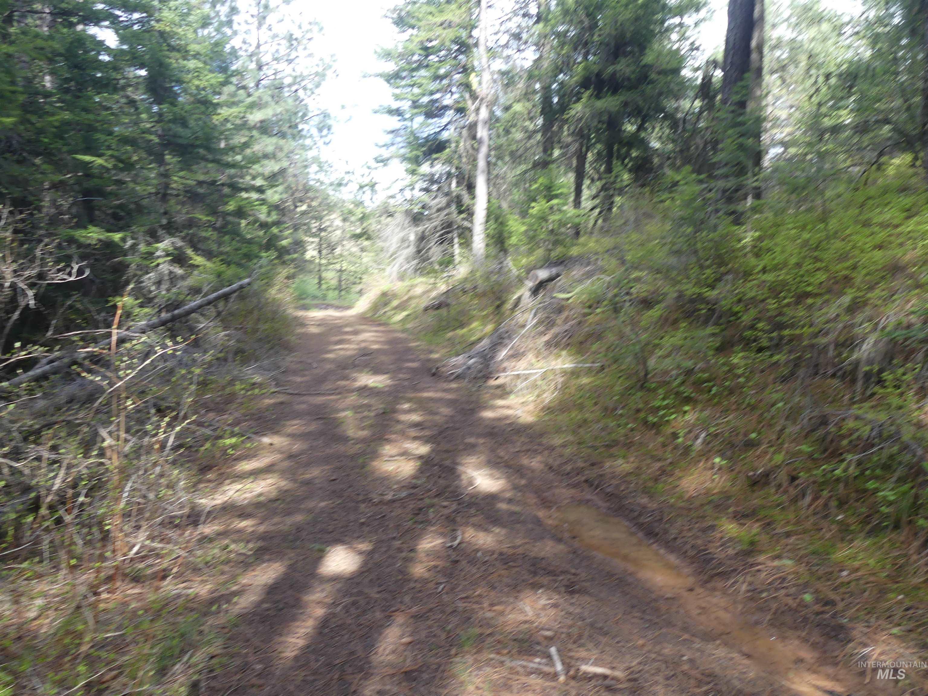 000 Hansen Ridge Road, Anatone, Washington 99401, Land For Sale, Price $350,000, 98910830