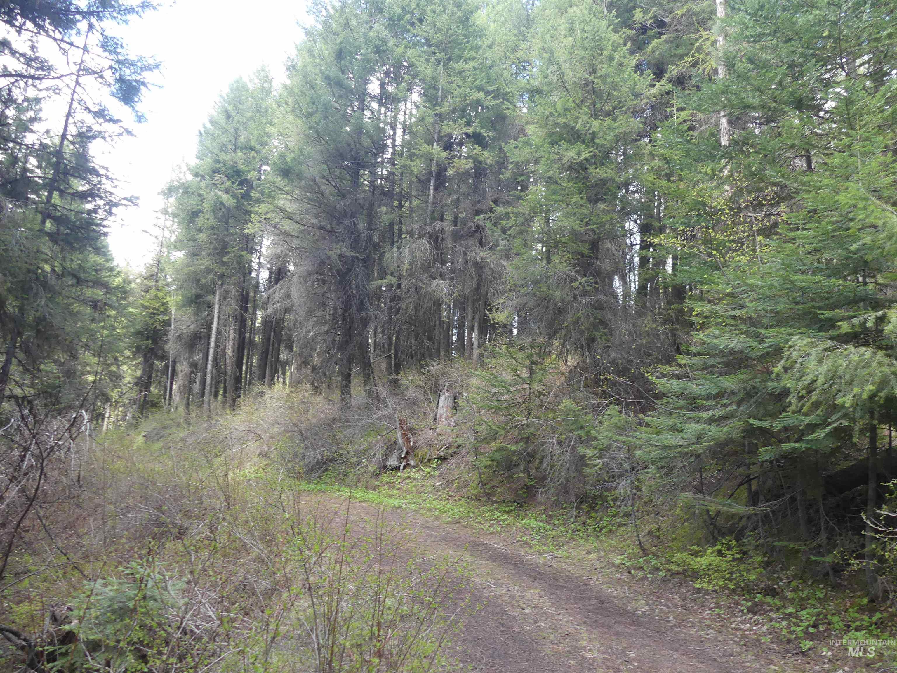 000 Hansen Ridge Road, Anatone, Washington 99401, Land For Sale, Price $350,000, 98910830