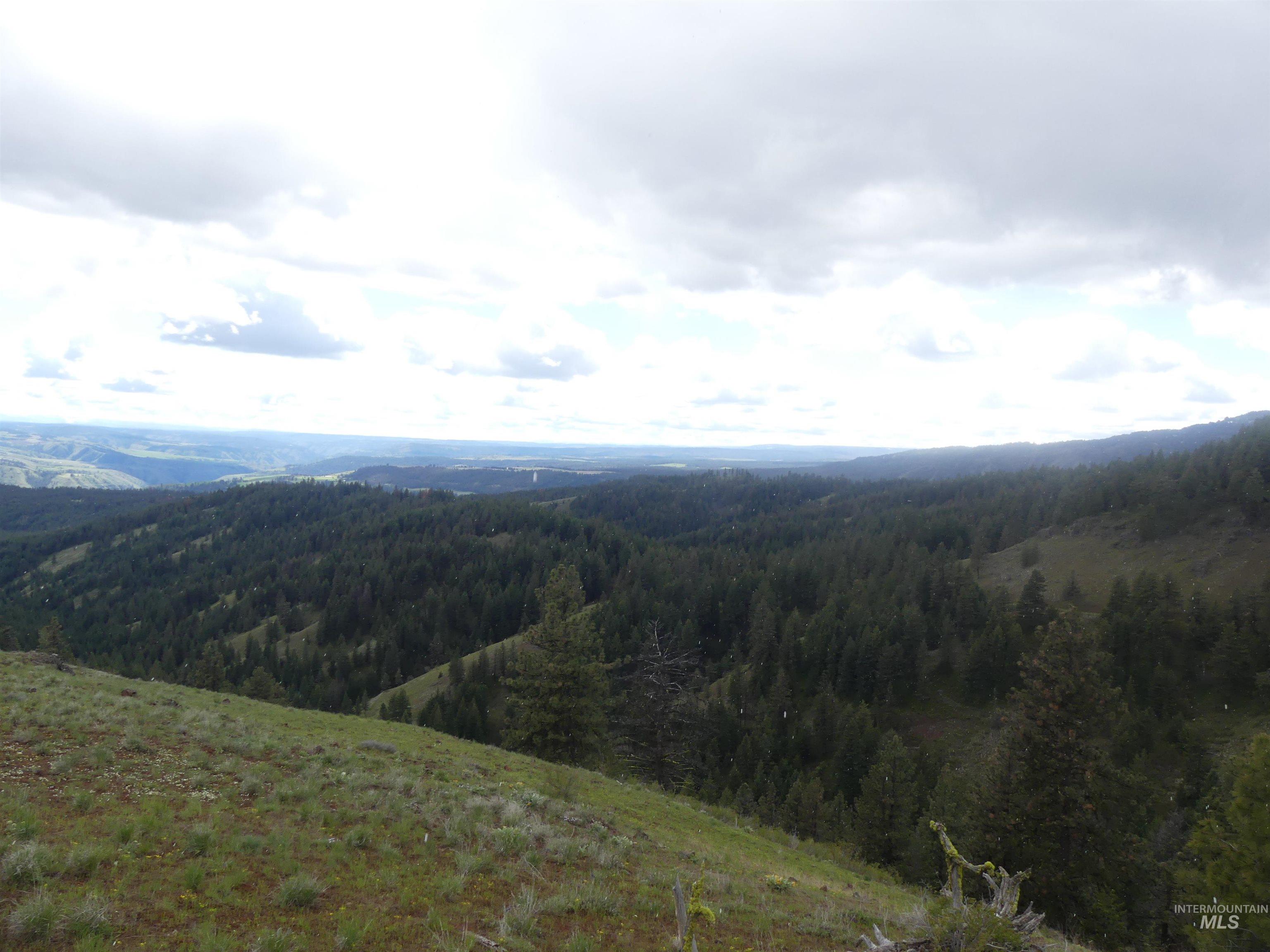 000 Hansen Ridge Road, Anatone, Washington 99401, Land For Sale, Price $350,000, 98910830