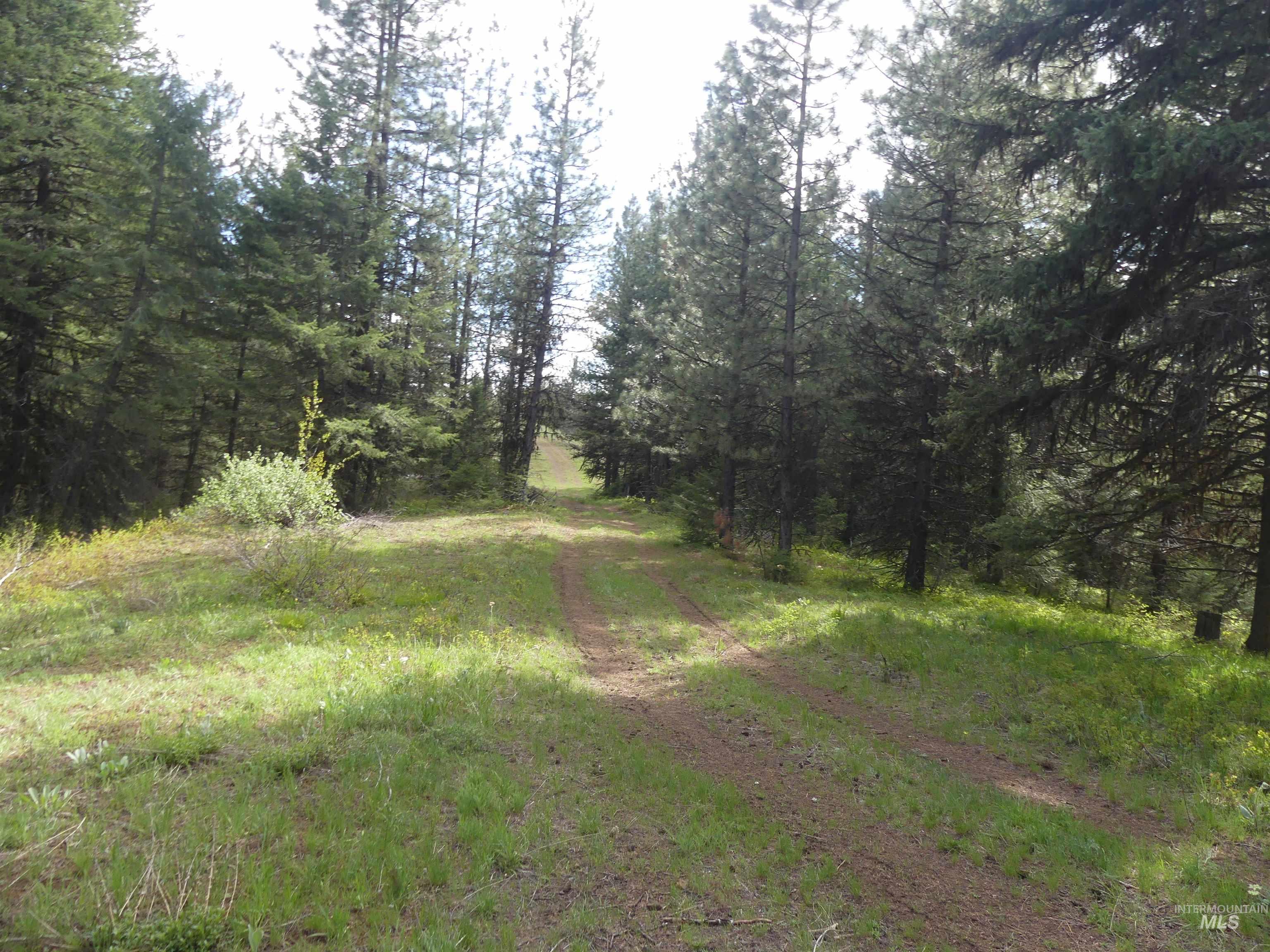 000 Hansen Ridge Road, Anatone, Washington 99401, Land For Sale, Price $350,000, 98910830